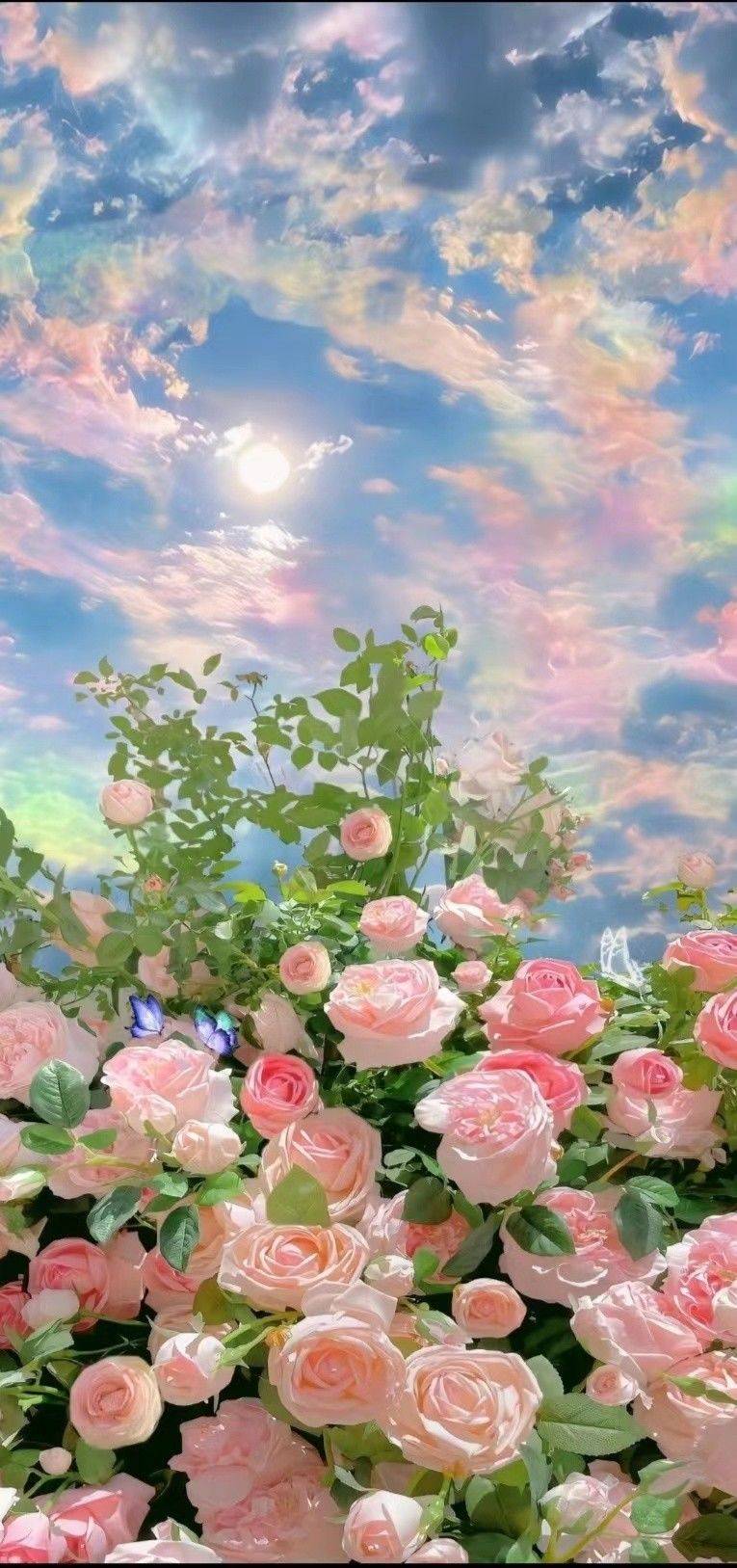 小西丸子