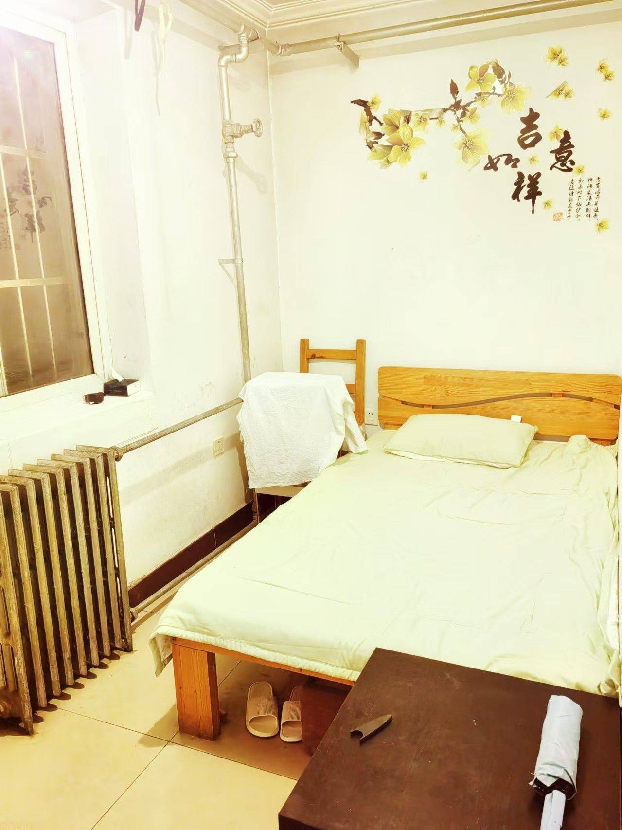 猫头鹰整租房源1