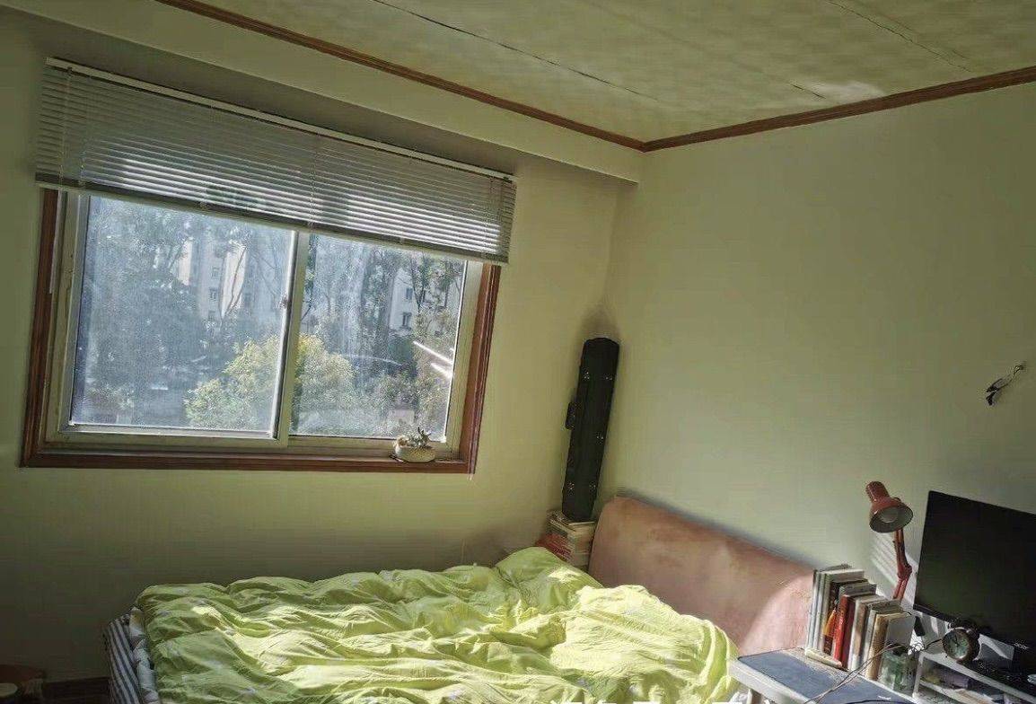 Shanghai-Pudong-Cozy Home,Clean&Comfy,No Gender Limit,Pet Friendly
