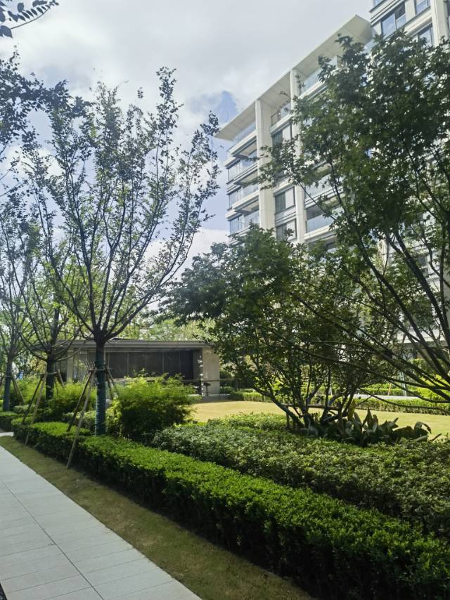 上海-楊浦-溫馨小窩,乾淨治愈,不限性別,慢時光