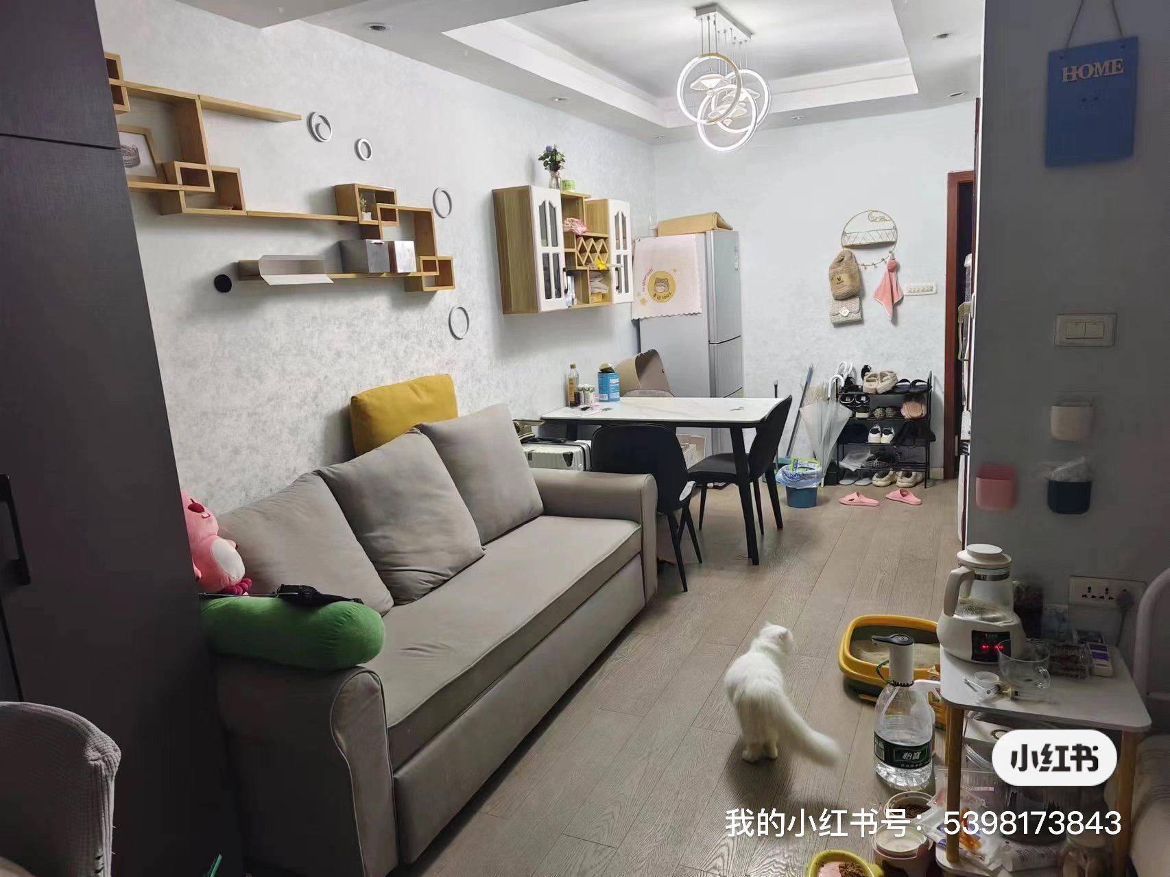 Chongqing-Jiangbei-Cozy Home,Clean&Comfy,No Gender Limit,Hustle & Bustle,“Friends”,Chilled,LGBTQ Friendly,Pet Friendly