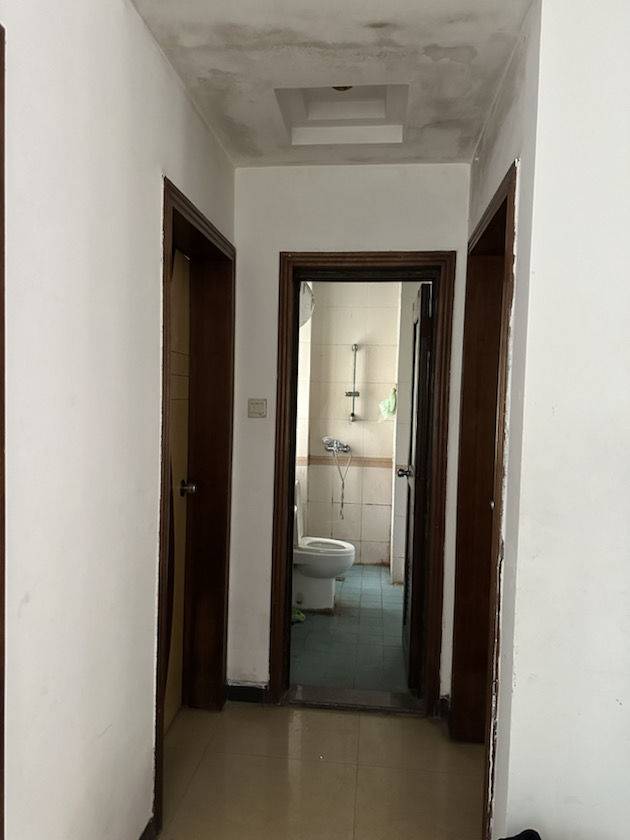 Dongguan-Dongcheng-Pet Friendly