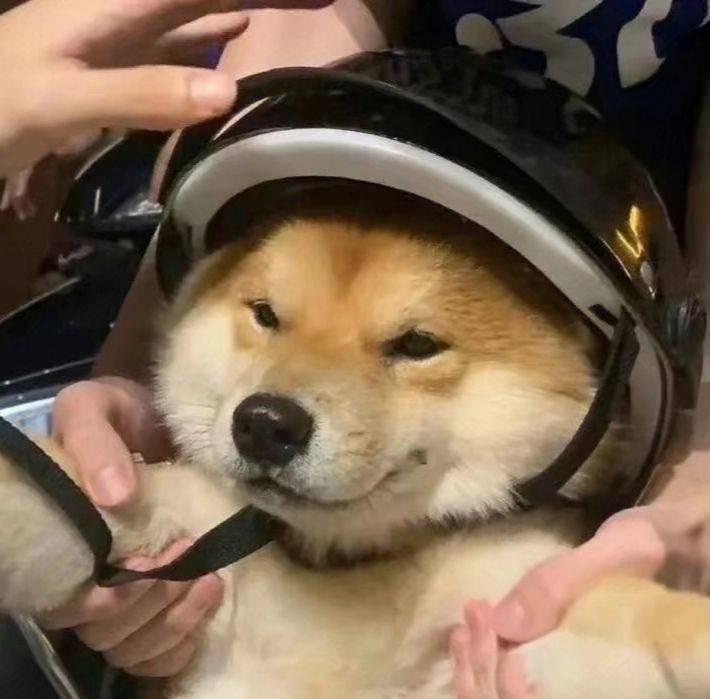 张先生