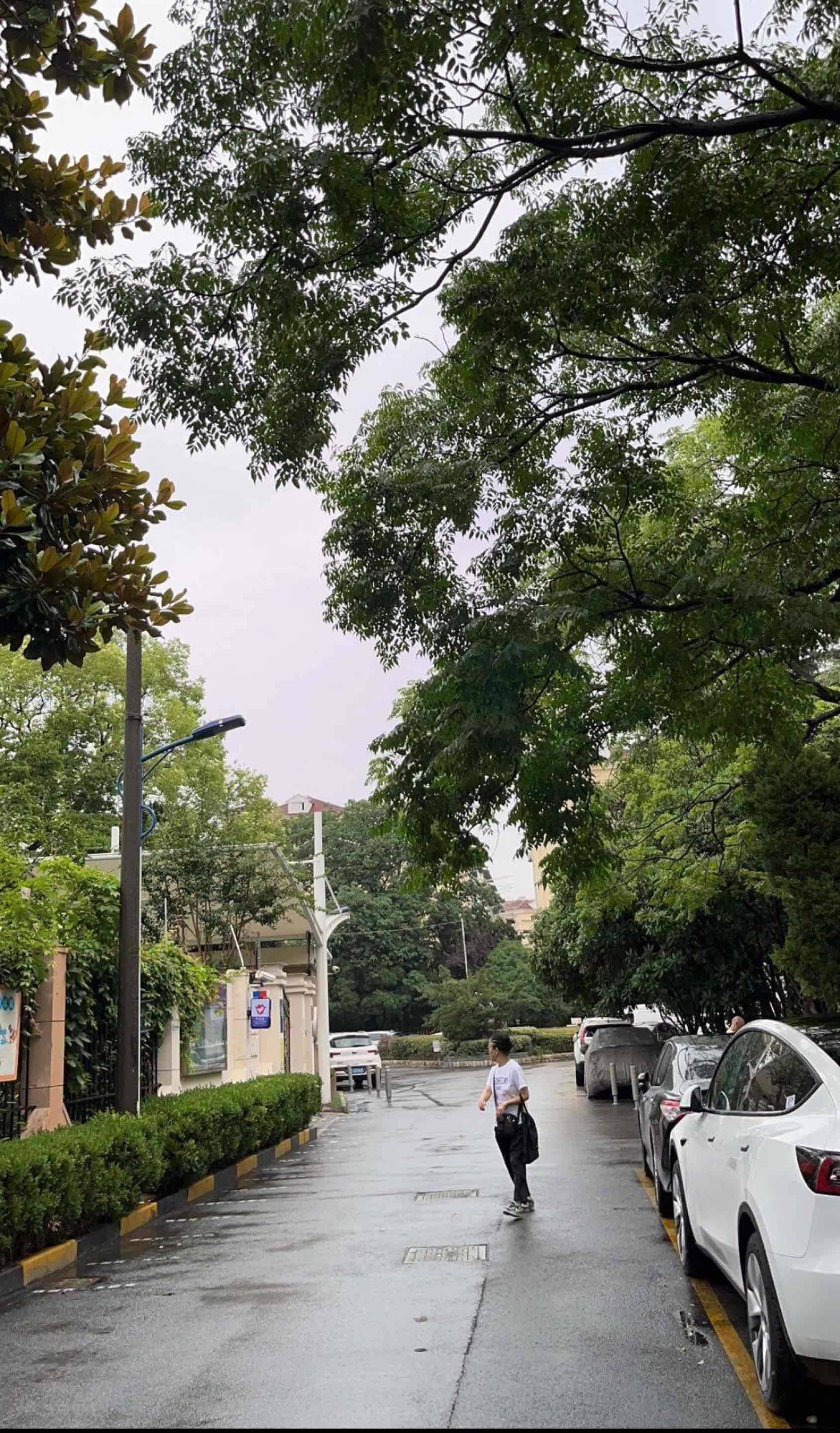 上海-徐汇-温馨小窝,市井烟火气