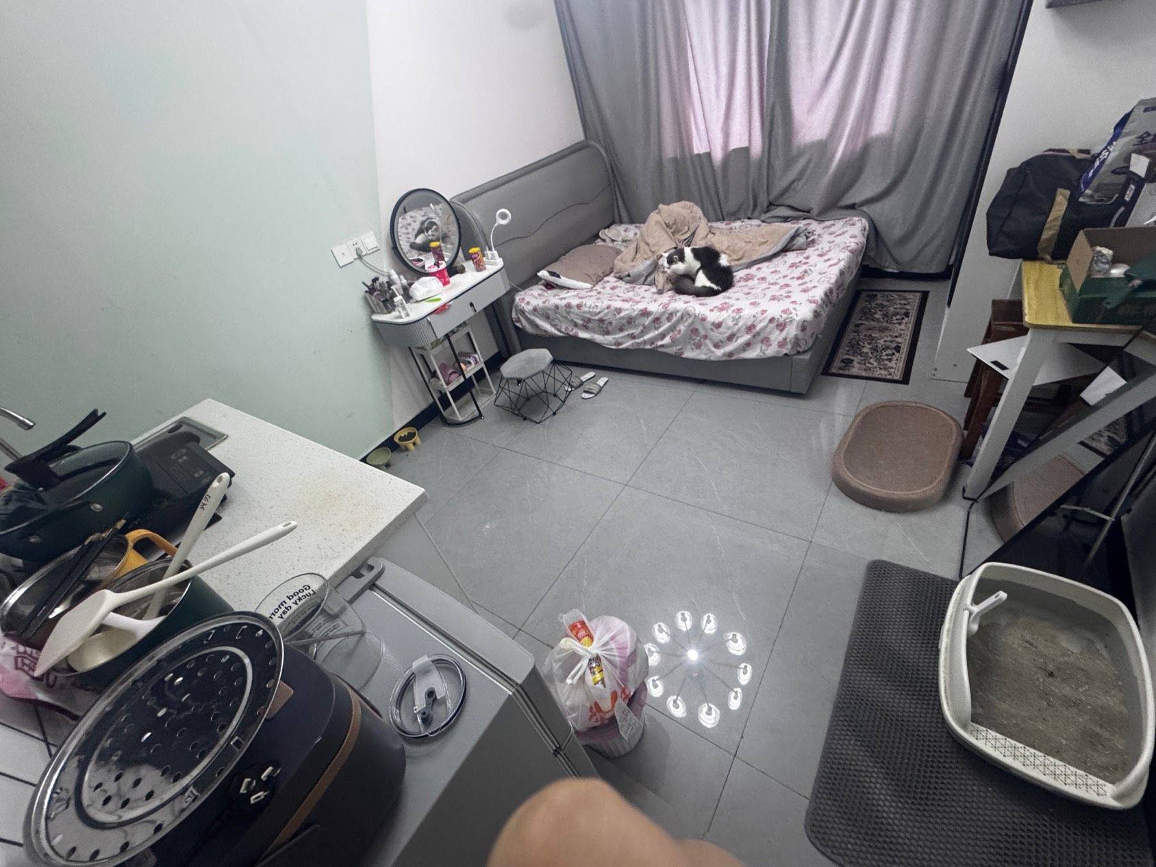 Hangzhou-Binjiang-Cozy Home,Clean&Comfy,No Gender Limit,Hustle & Bustle,“Friends”,Chilled,Pet Friendly