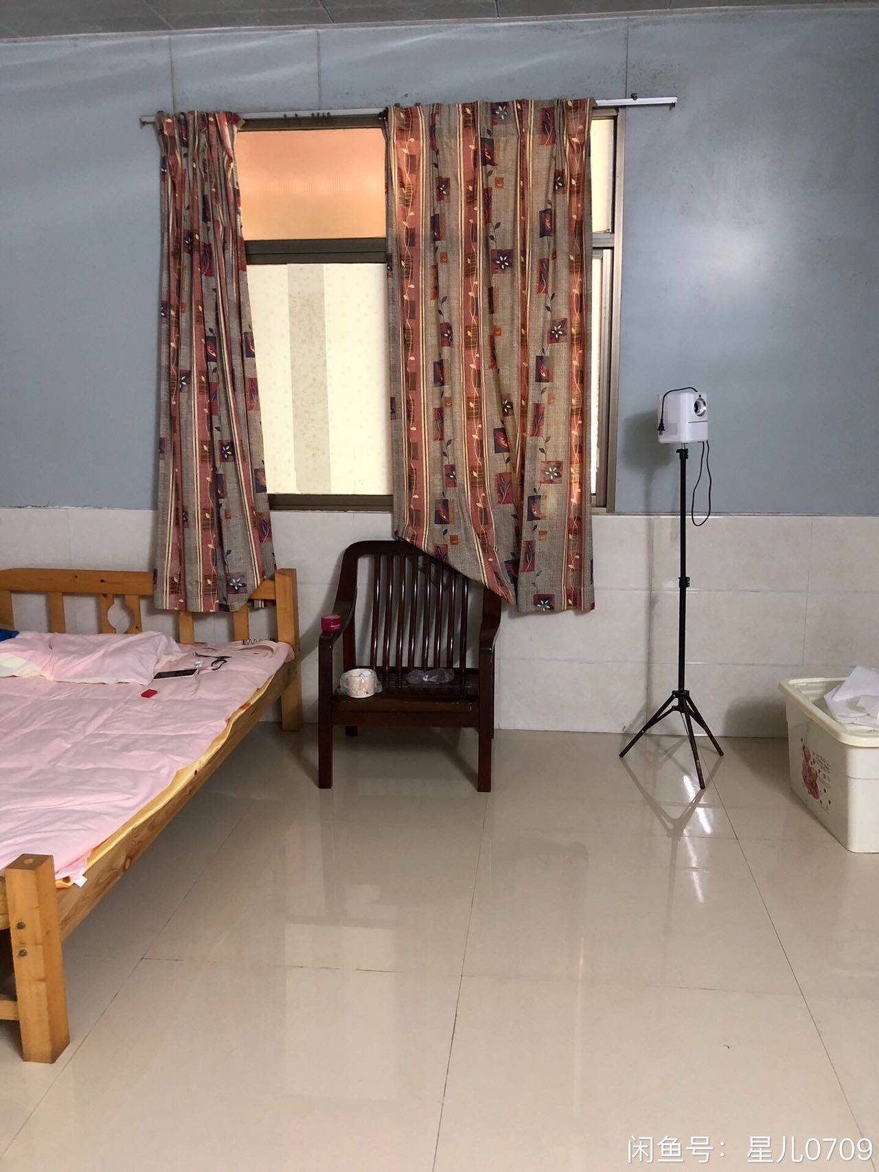 Dongguan-Nancheng-Pet Friendly