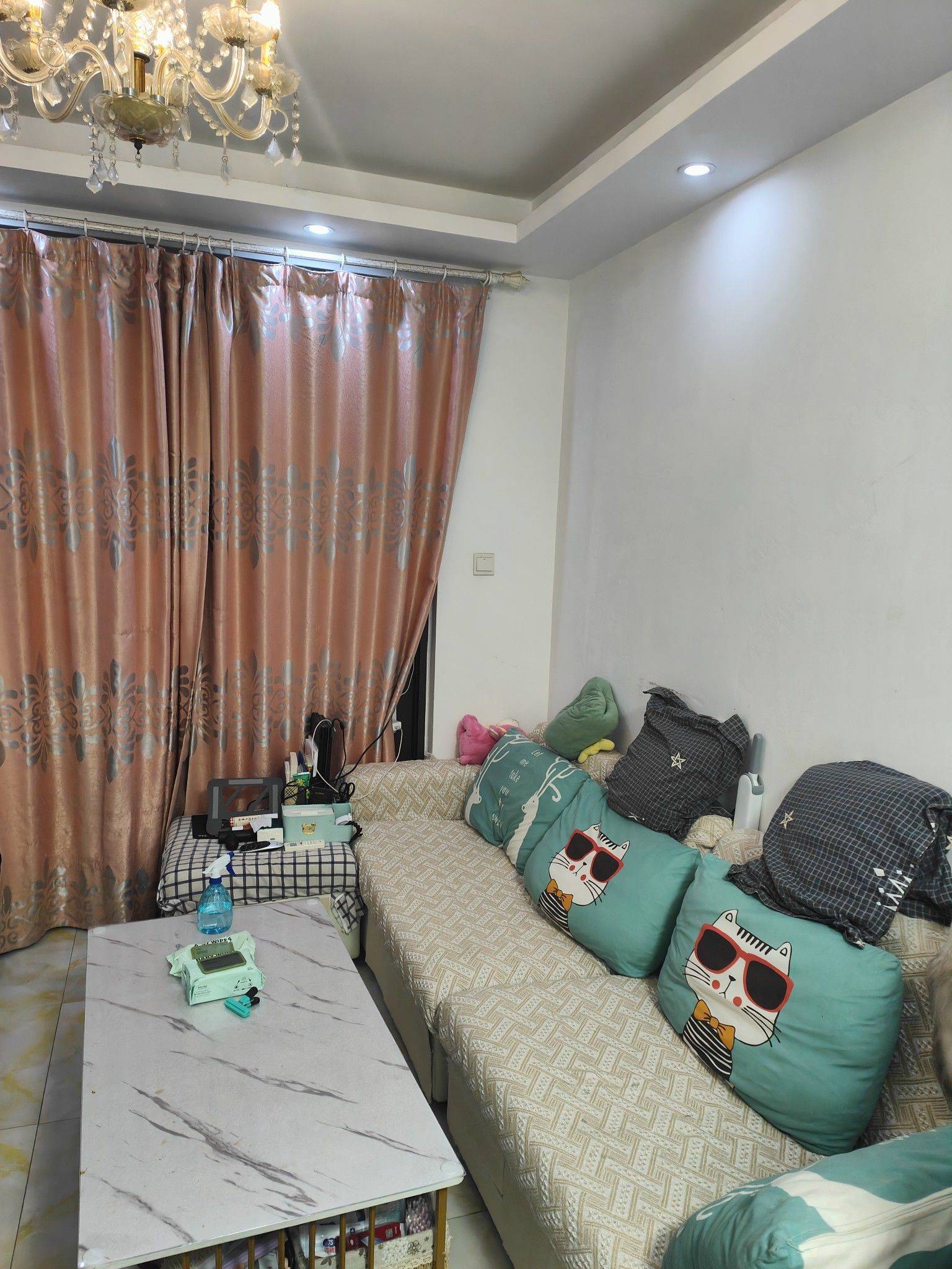 ShanghaiPudongCozy Gender LimitPet Friendly