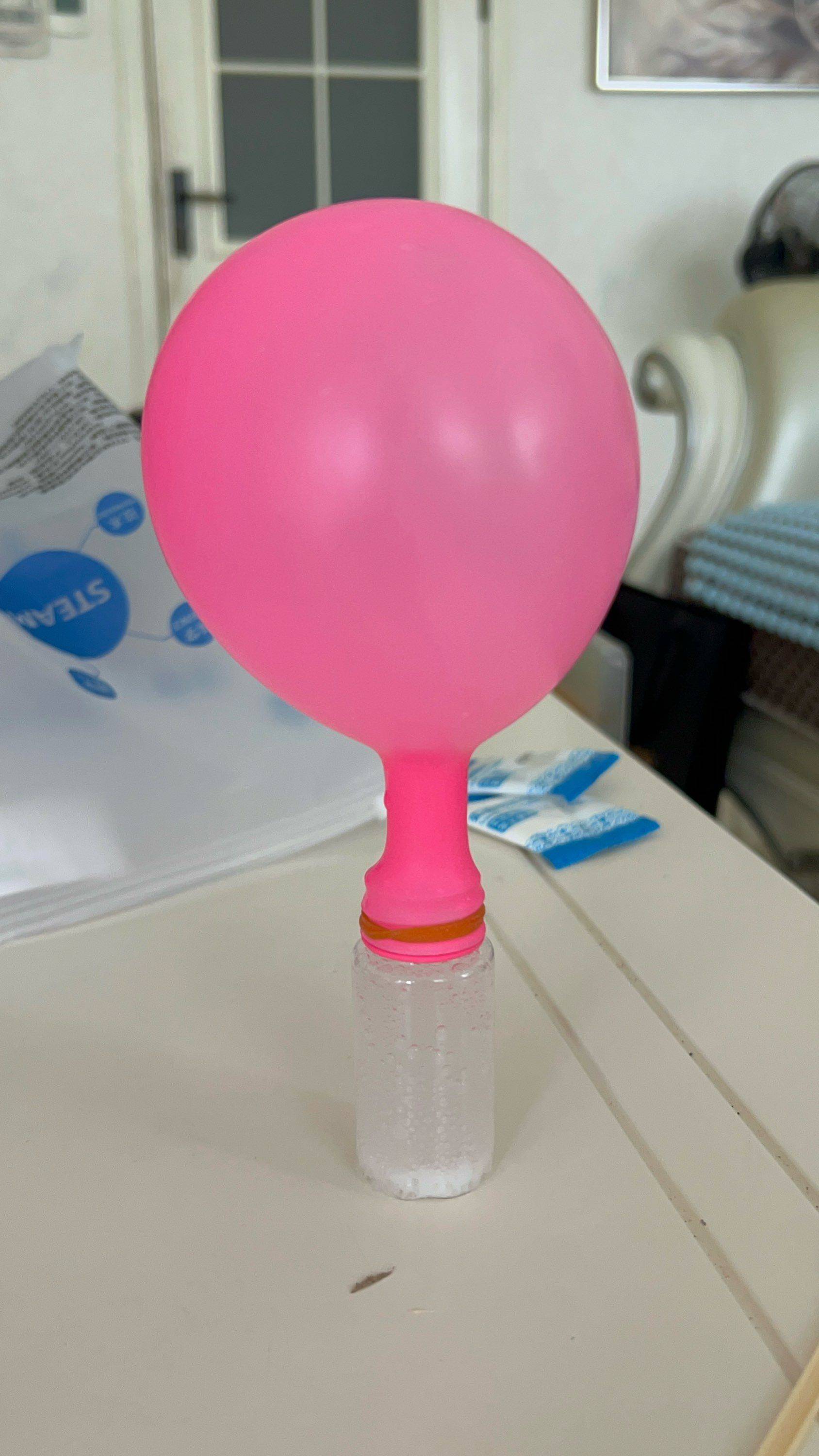 鱼