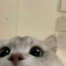 宁宁