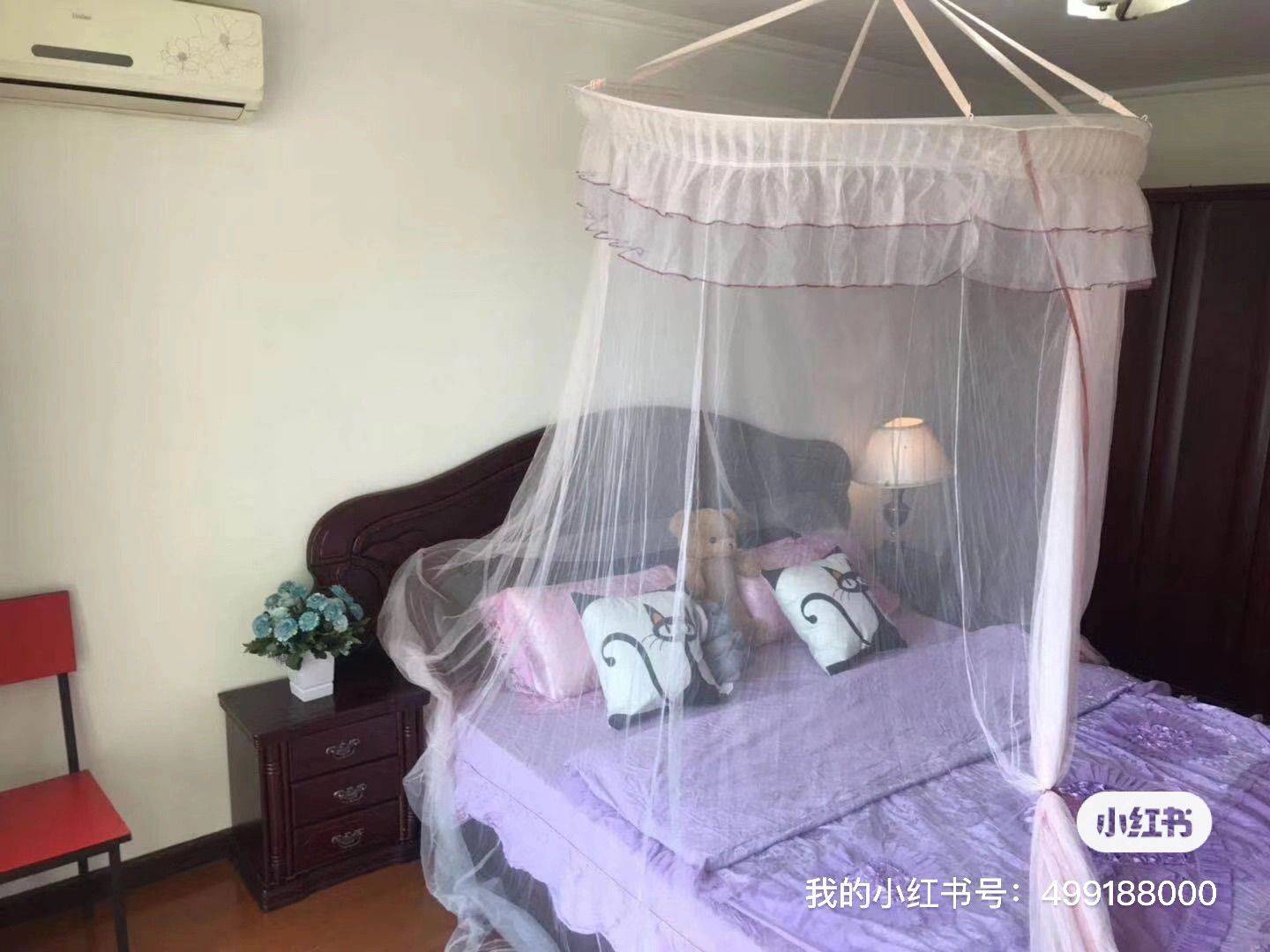 Beijing-Fengtai-Pet Friendly