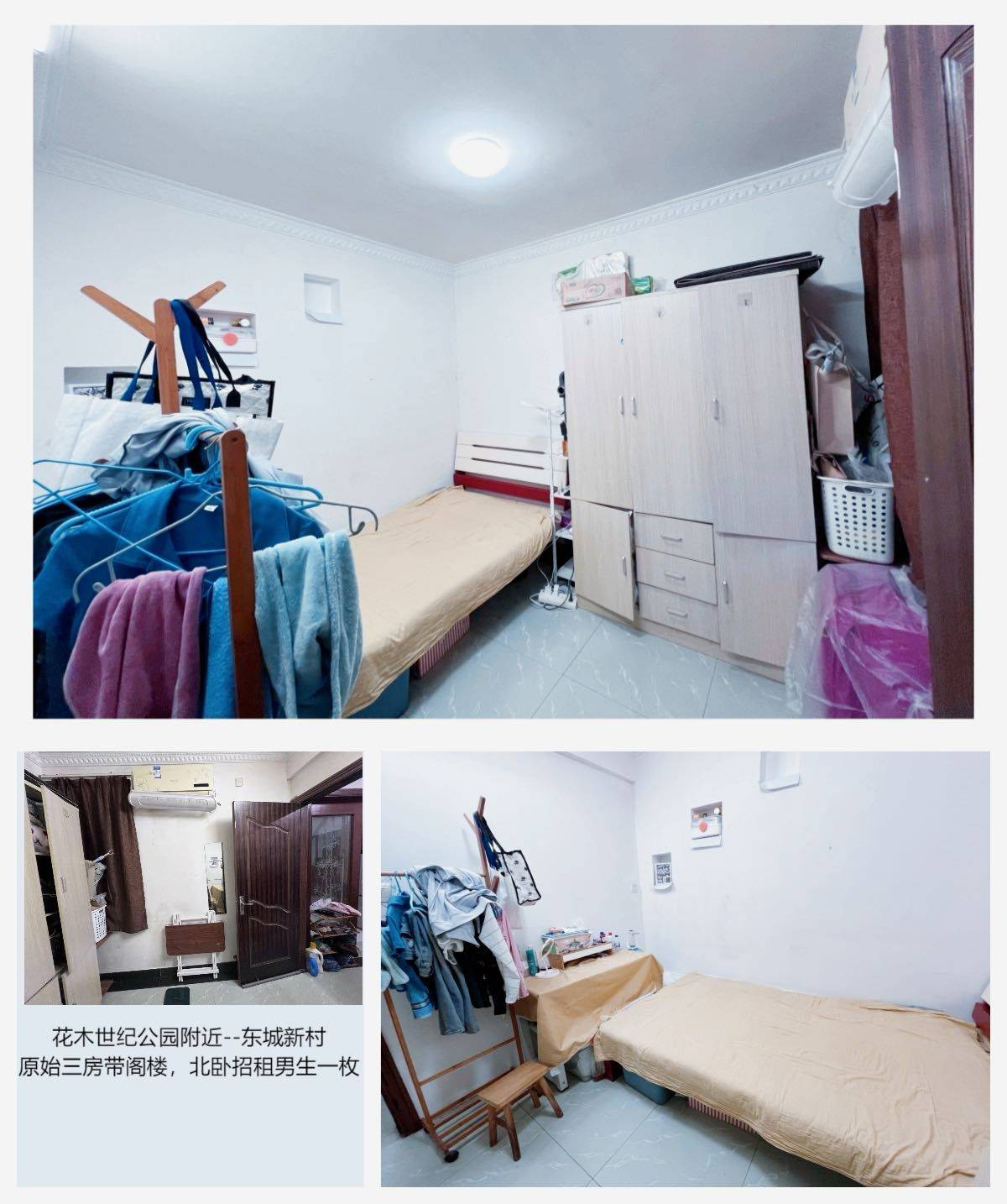 Shanghai-Pudong-Cozy Home,Clean&Comfy,No Gender Limit,Hustle & Bustle,“Friends”,Chilled