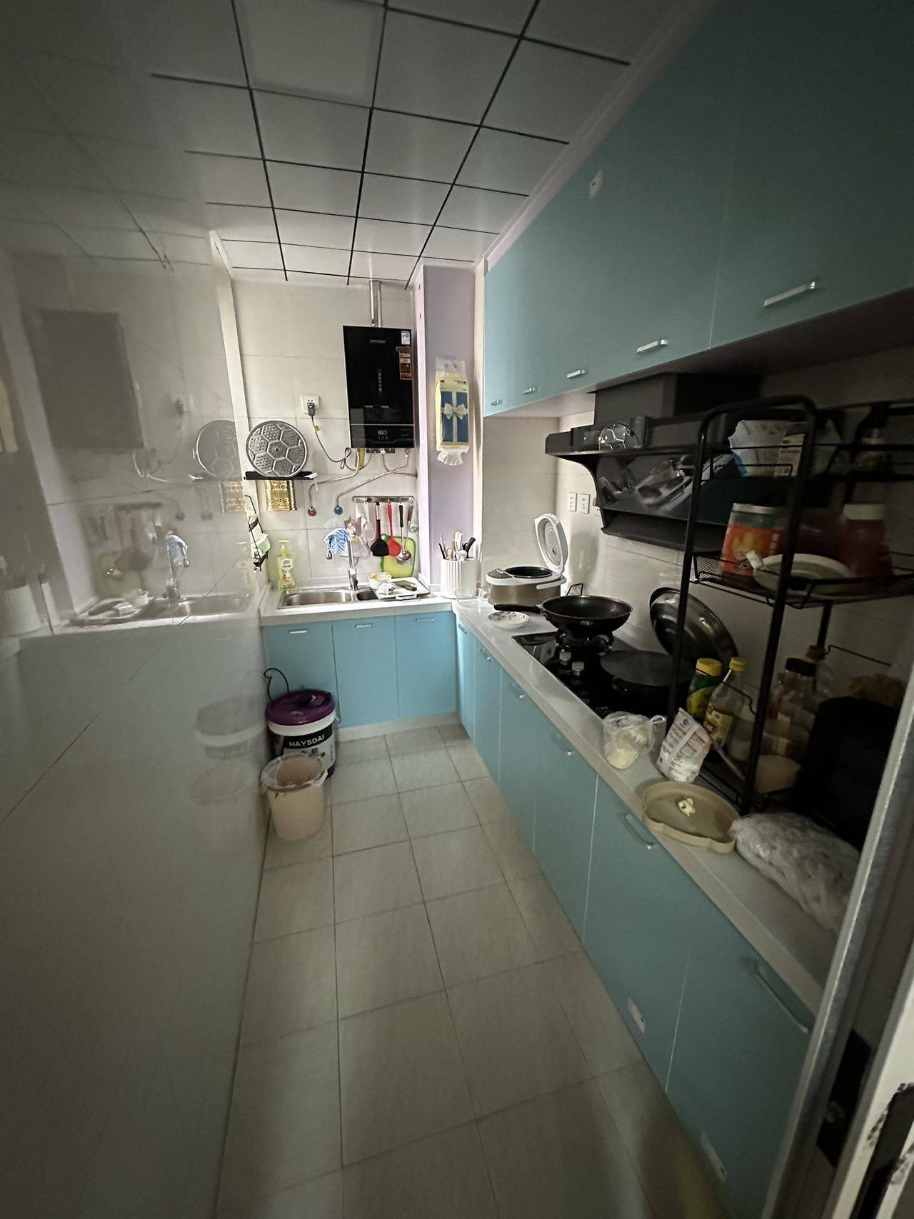 Hefei Luyang | 尚水湖畔淼园_5