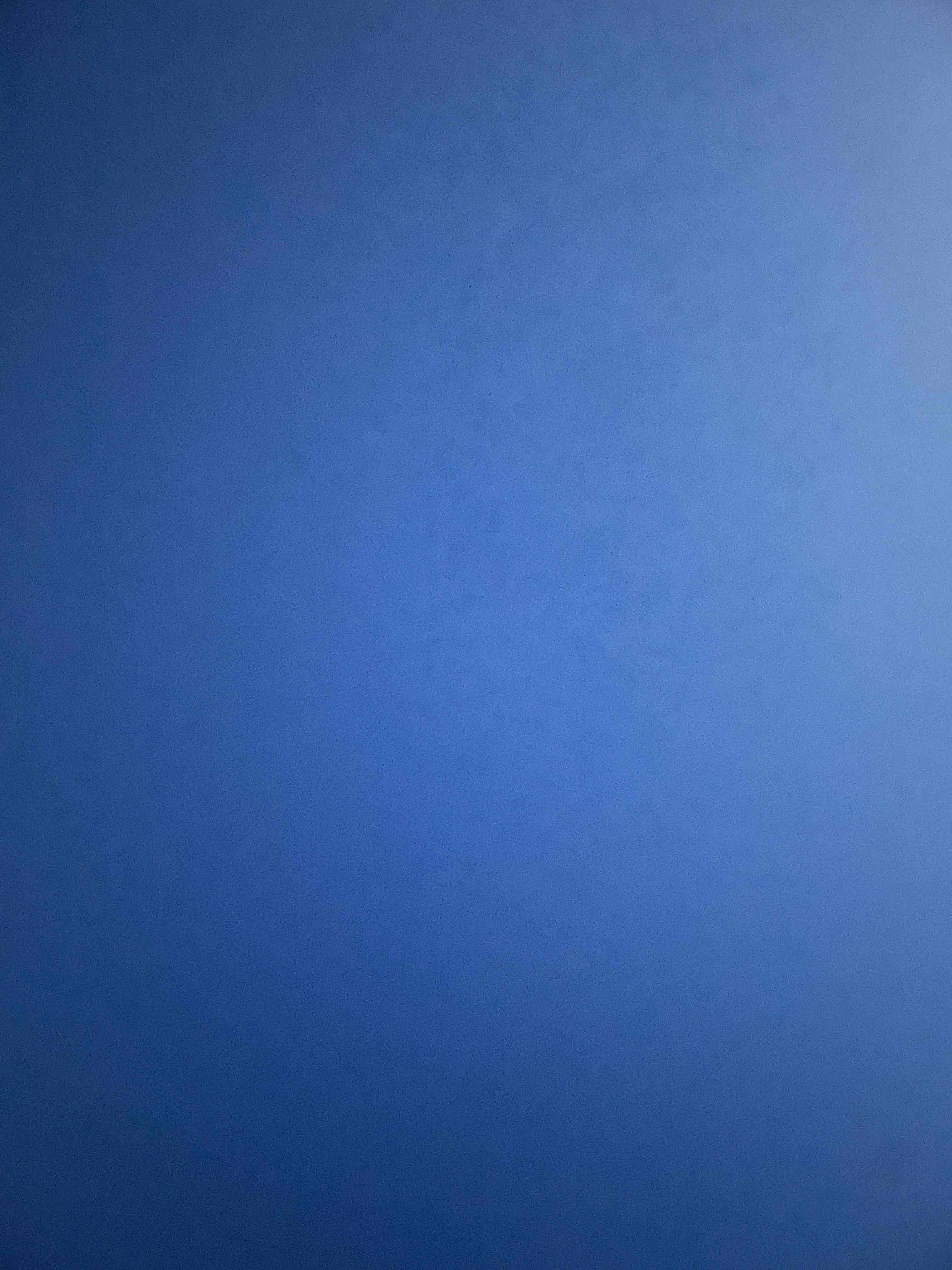 真诚房主
