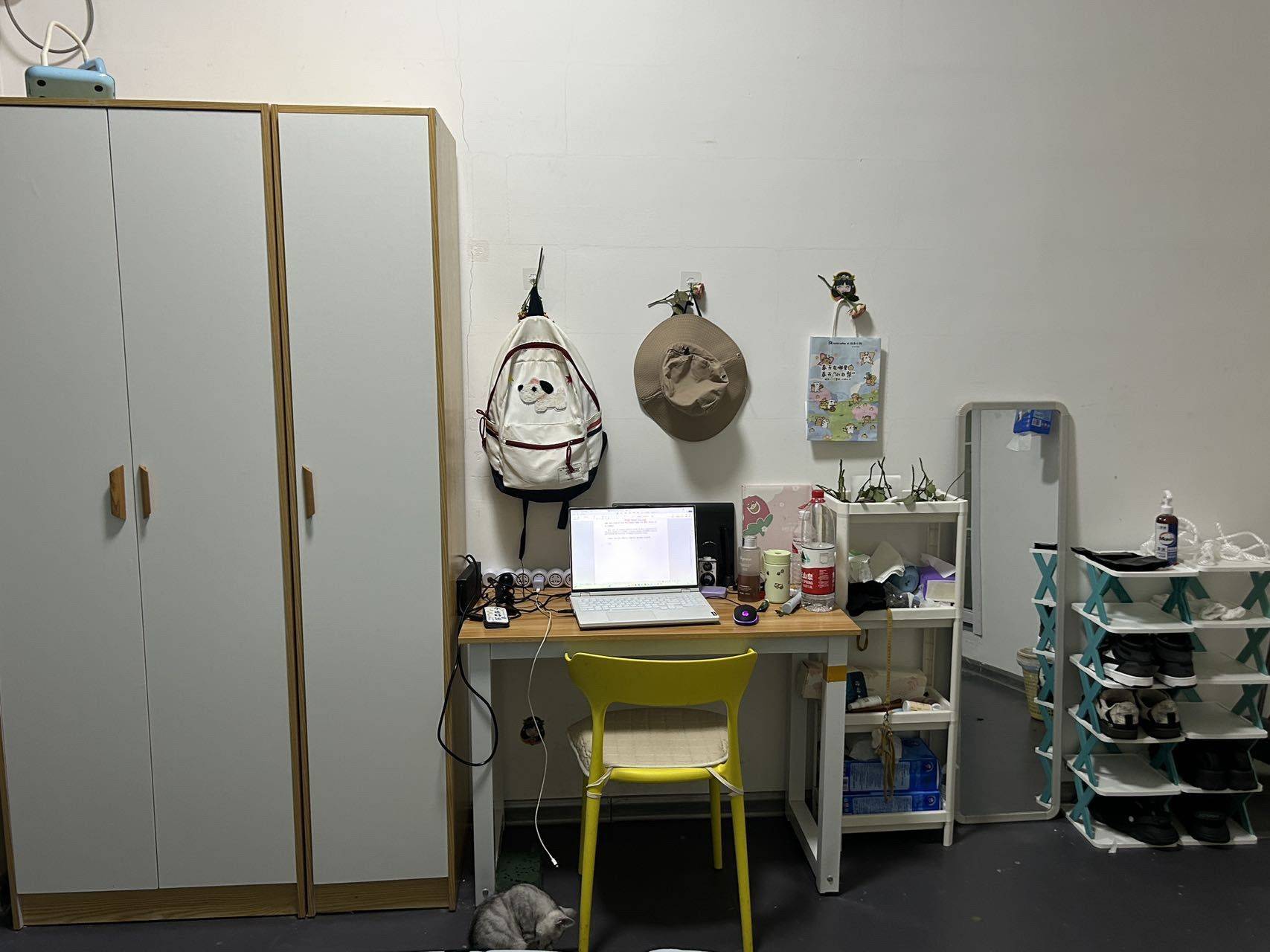 ChangshaYueluCozy Gender LimitPet Friendly