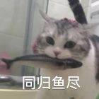卫
