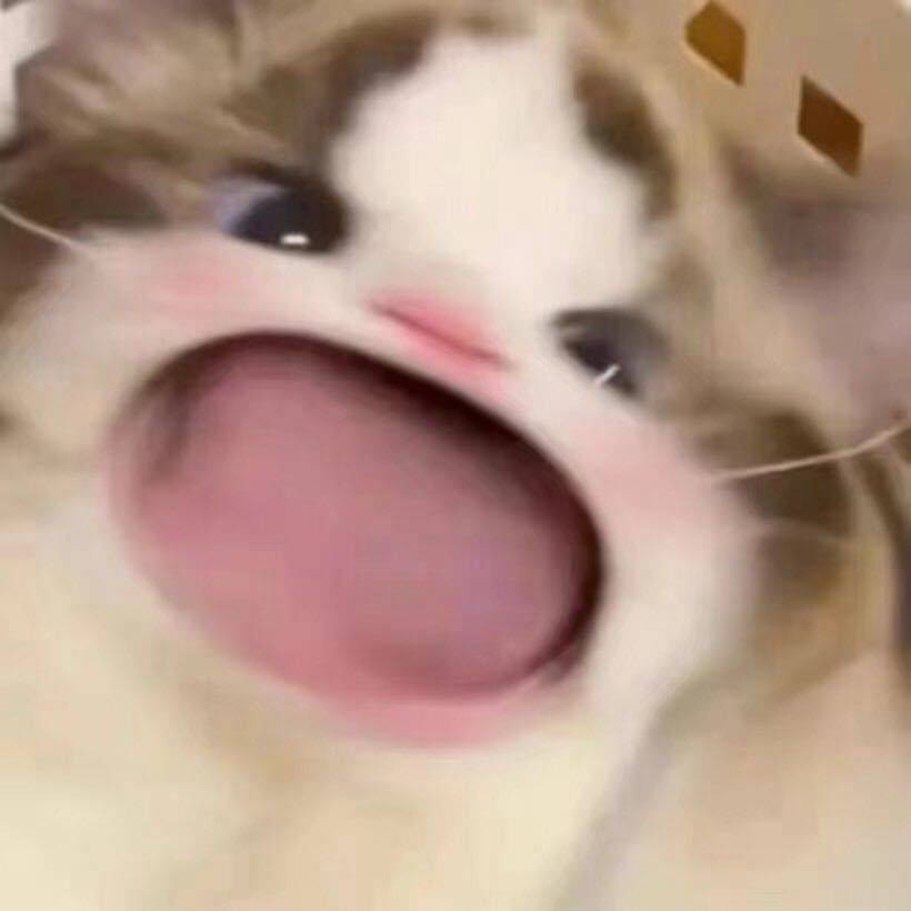 花间一壶酒