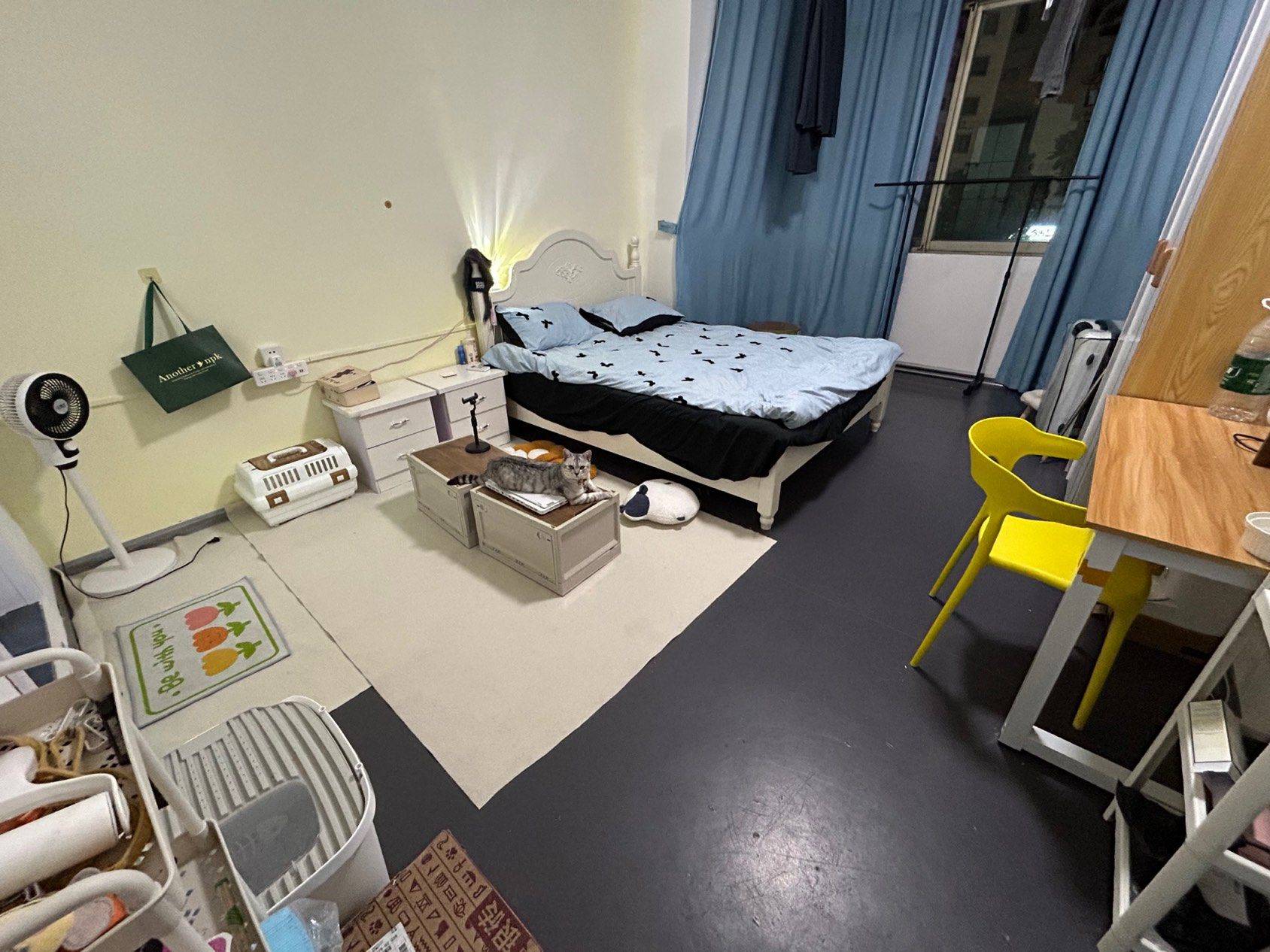 ChangshaYueluCozy Gender LimitPet Friendly