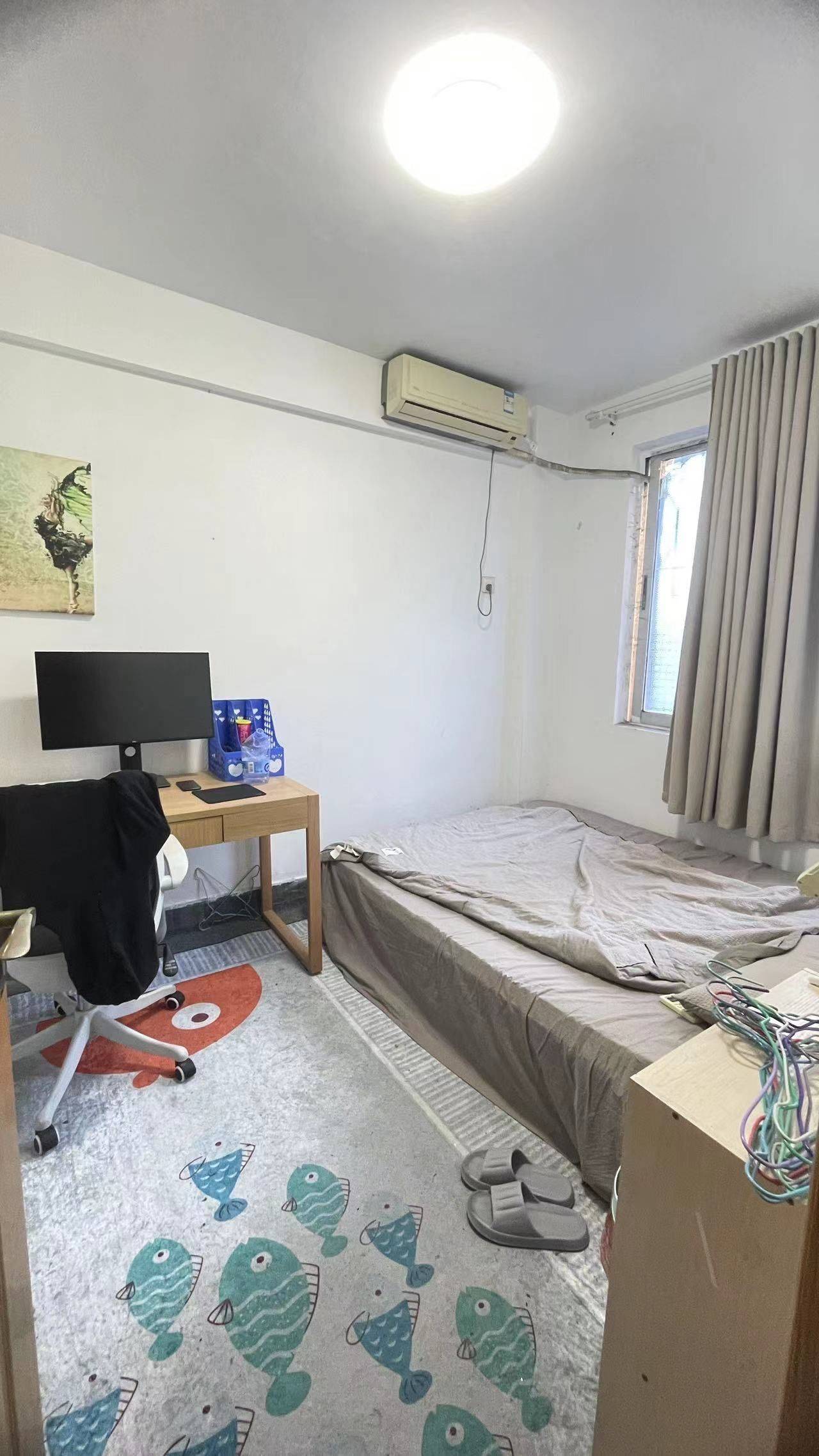 Shenzhen-BaoAn-Cozy Home,No Gender Limit,“Friends”,Pet Friendly