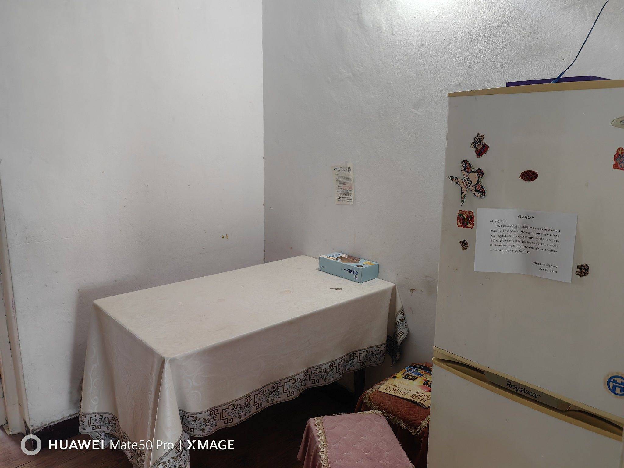 南京-秦淮-溫馨小窩,寵物友好