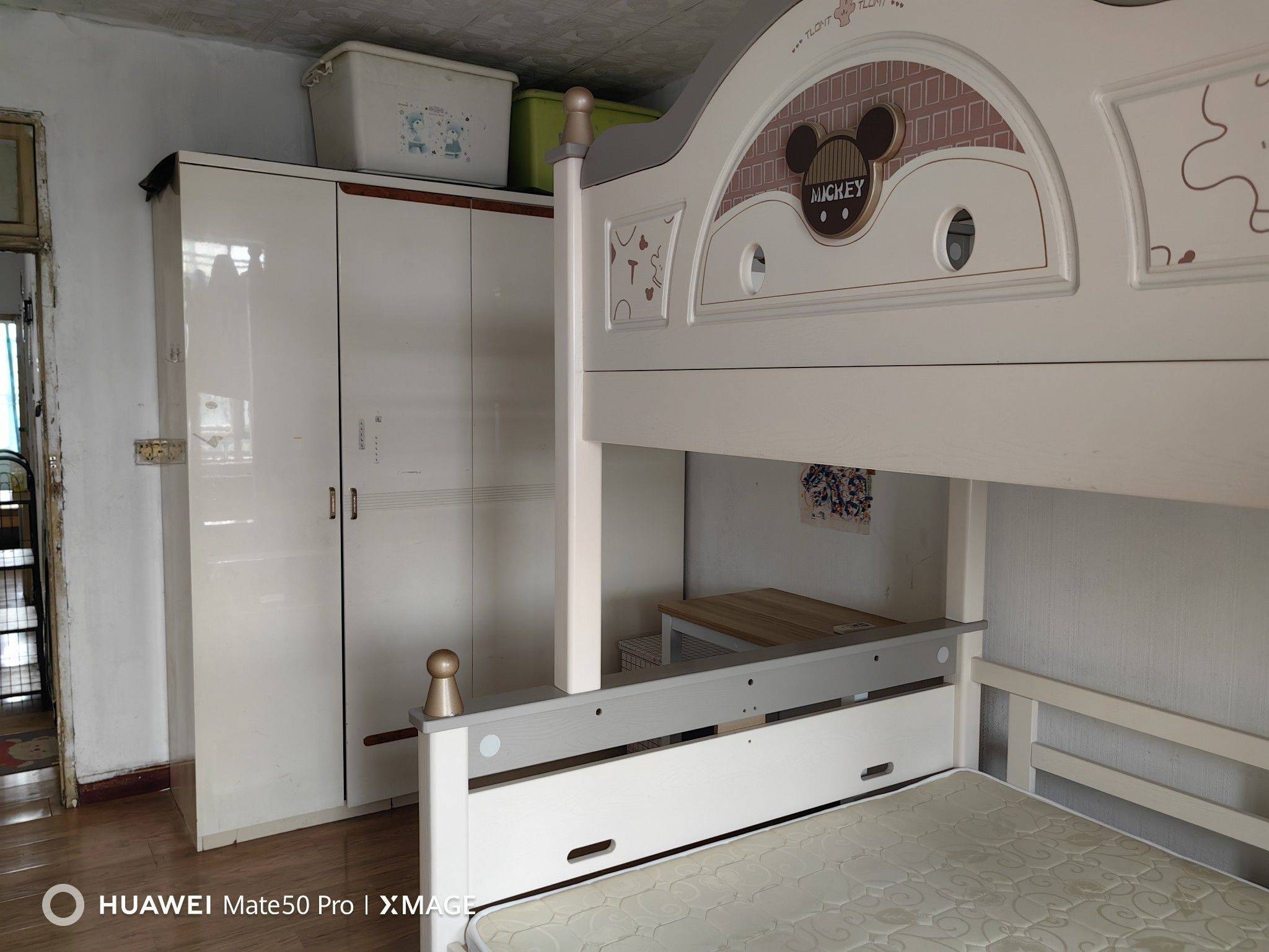 南京-秦淮-溫馨小窩,寵物友好