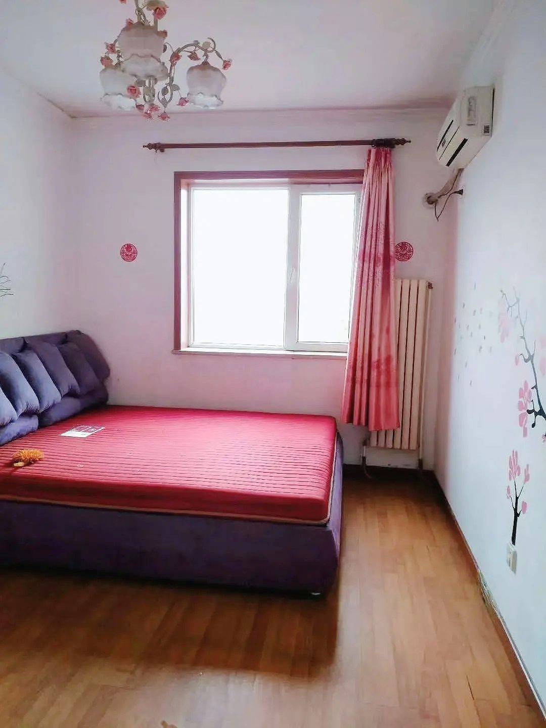 Beijing-Changping-No Gender Limit,Pet Friendly