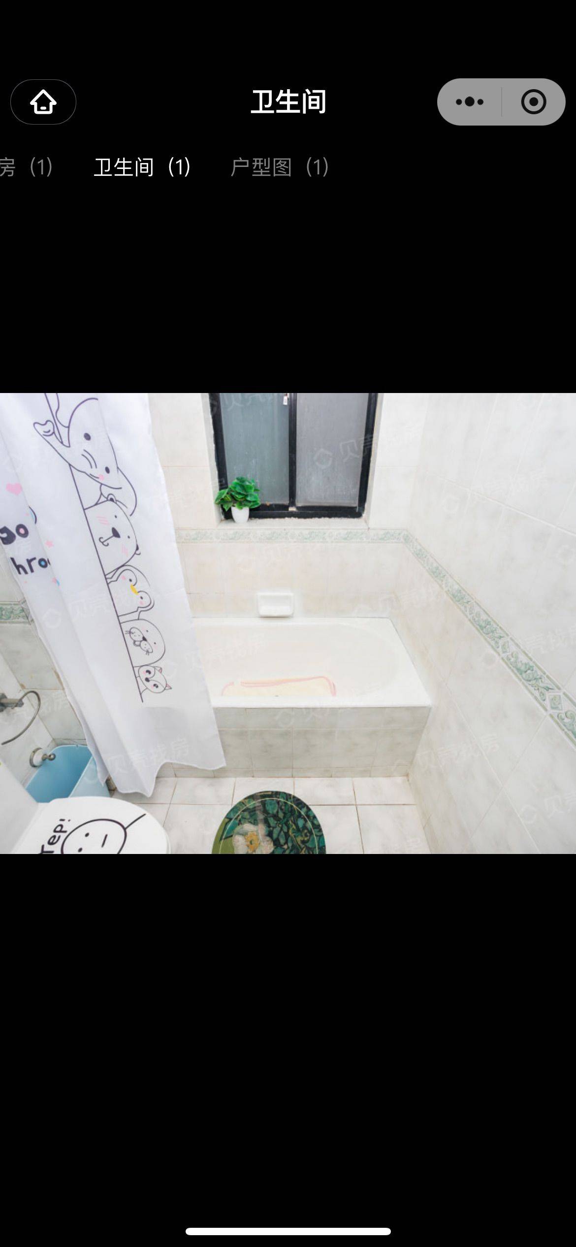 上海-普陀-温馨小窝,干净治愈,不限性别,LGBTQ友好,宠物友好