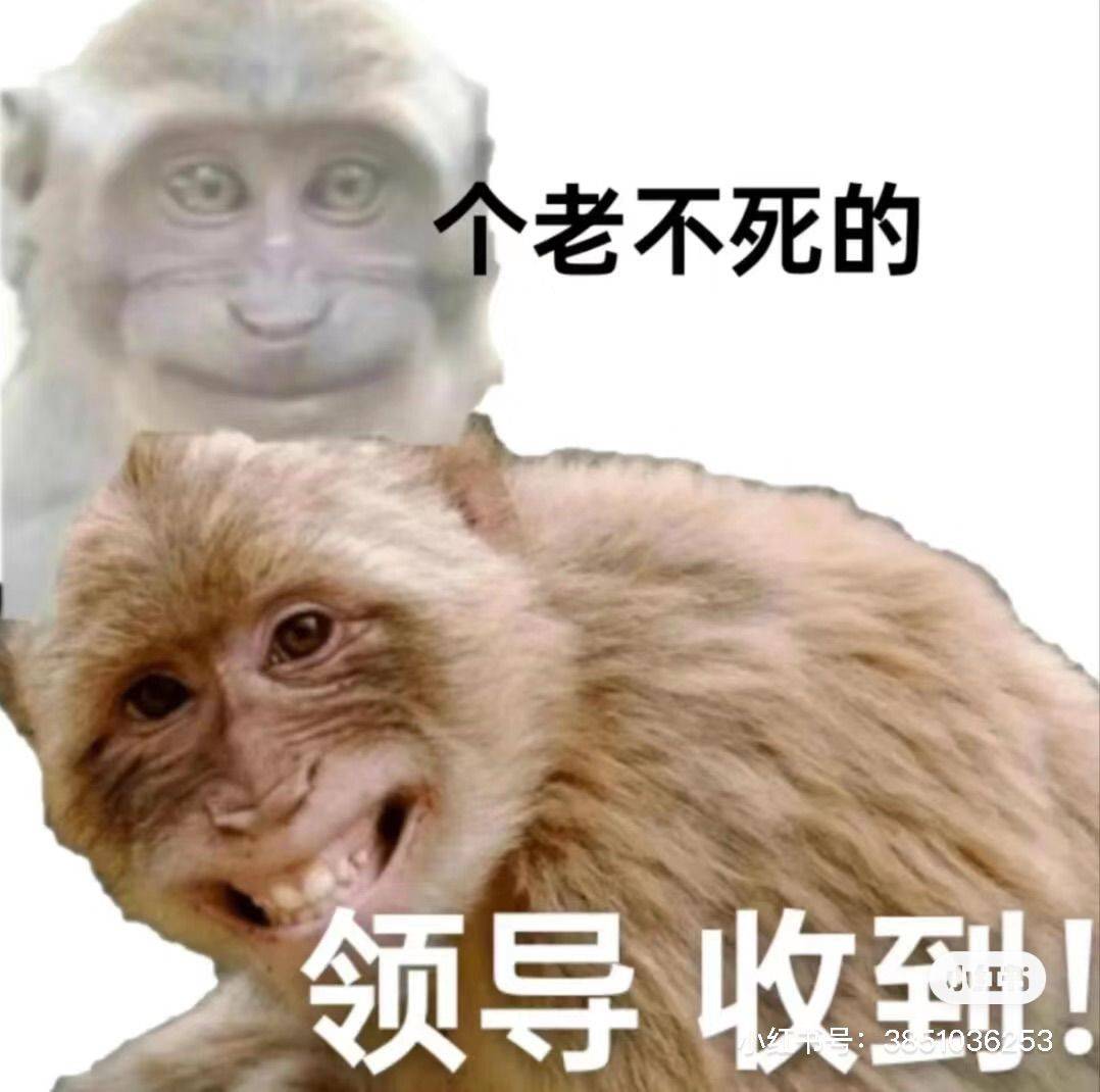 爱丽丝