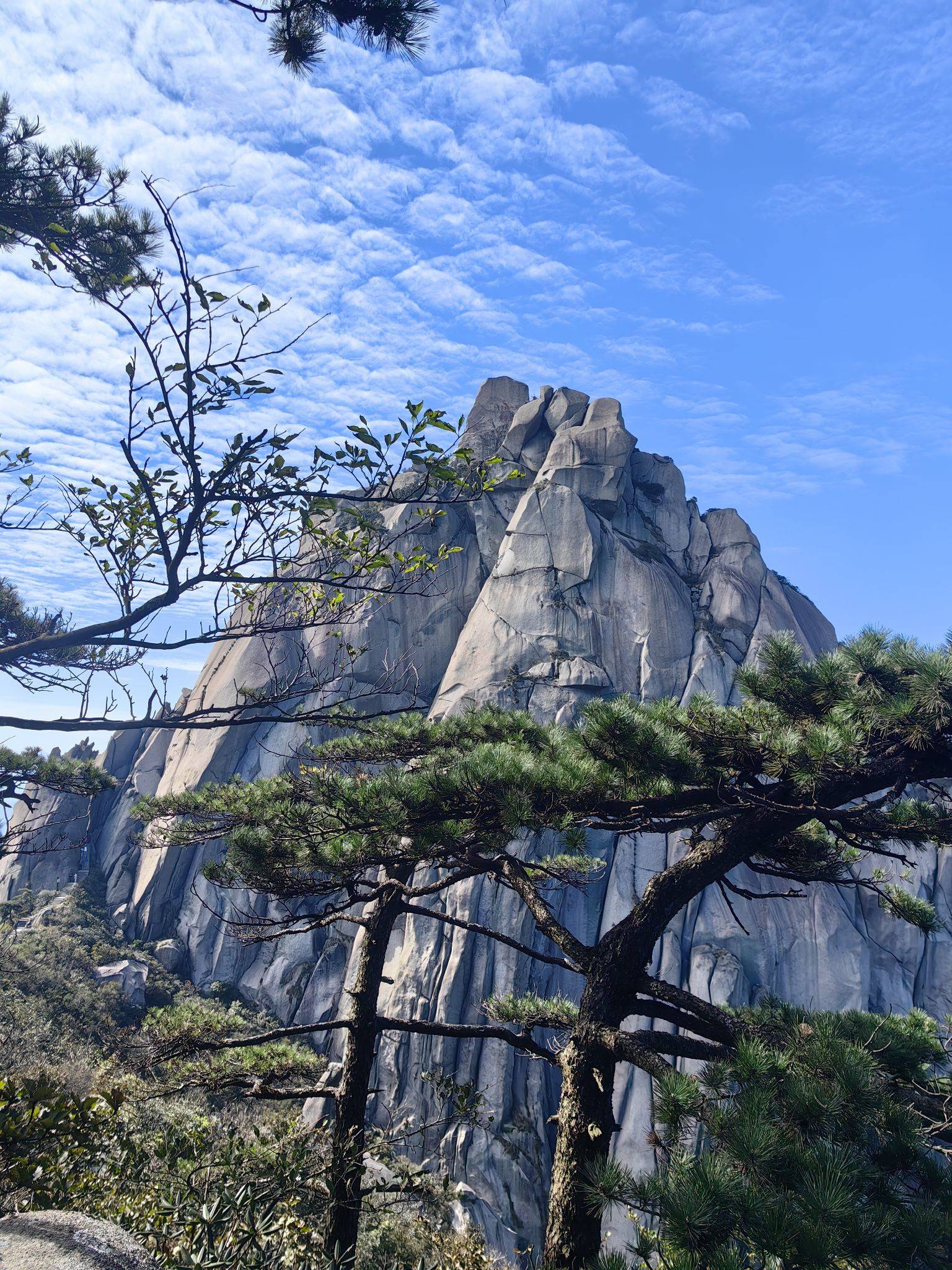小虾米