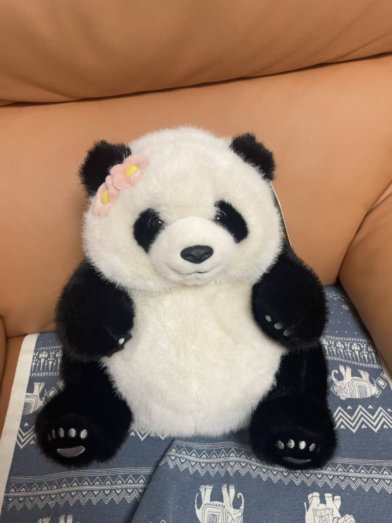 小毛头