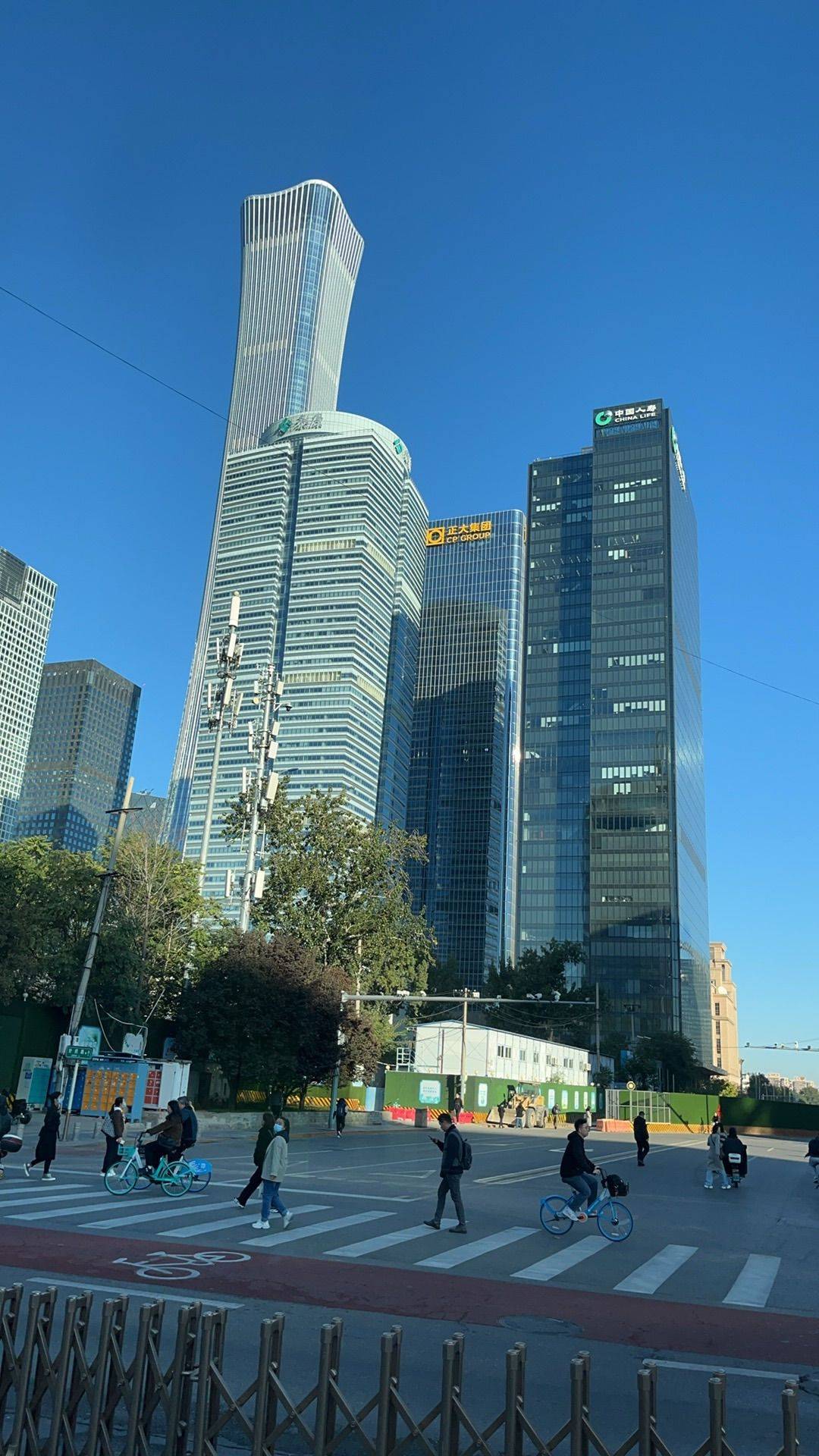 鼎盛国际