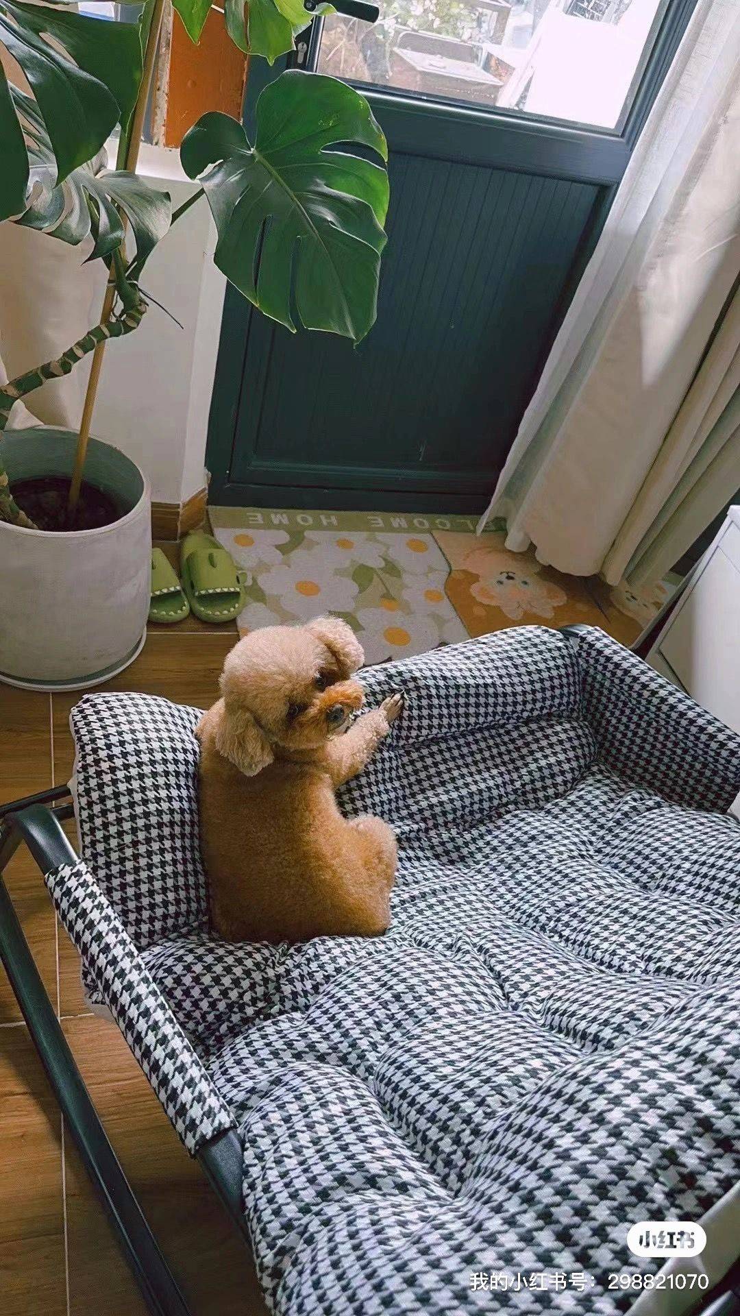 Beijing Xicheng | 西四北大街194号四合院_7