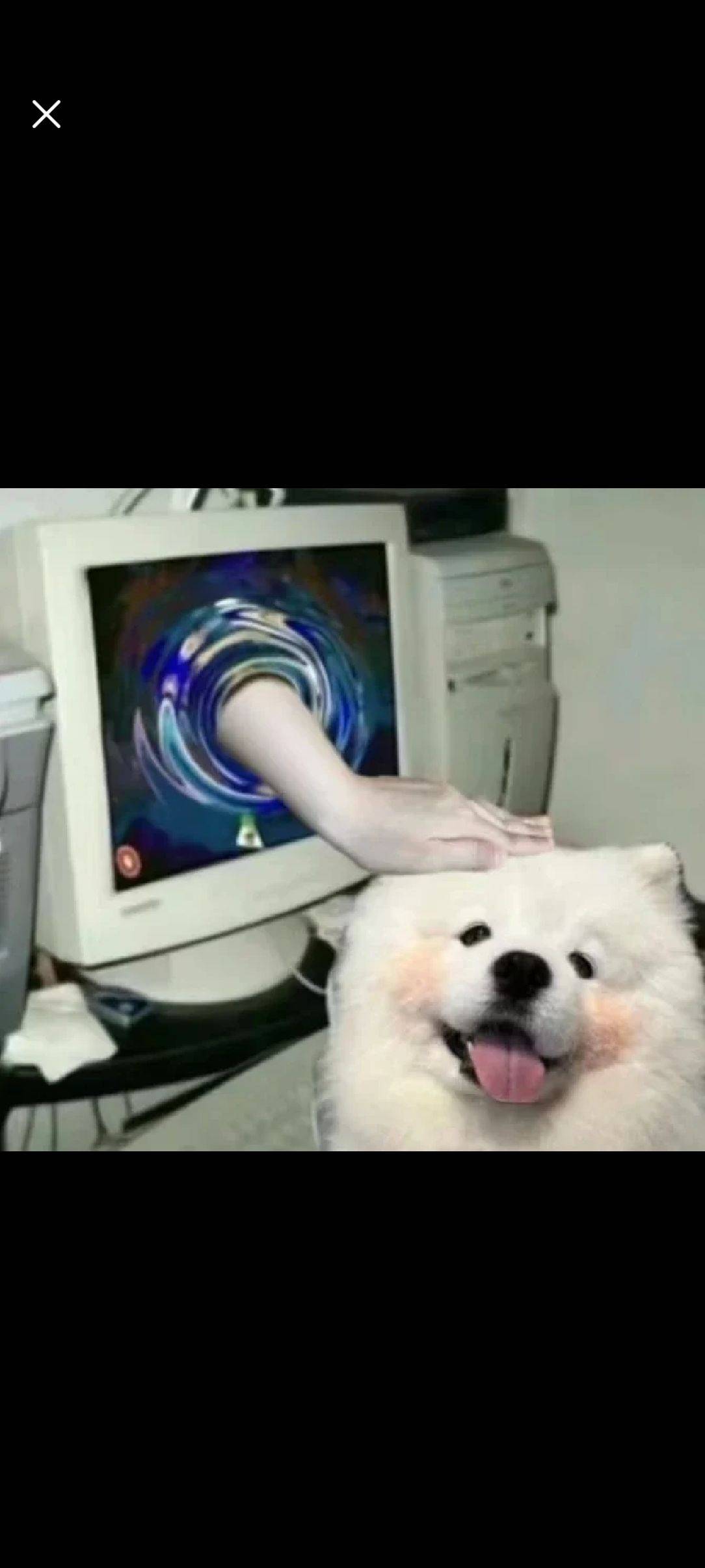 阿鹏