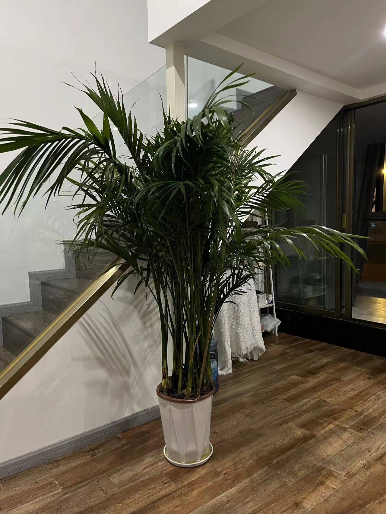 Chengdu-Wuhou-Cozy Home,Clean&Comfy,No Gender Limit,Hustle & Bustle,“Friends”,Chilled