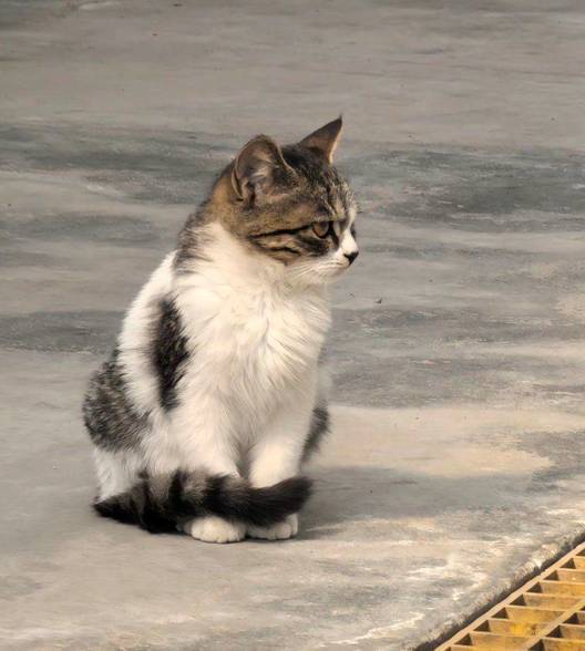 落日迷人眼