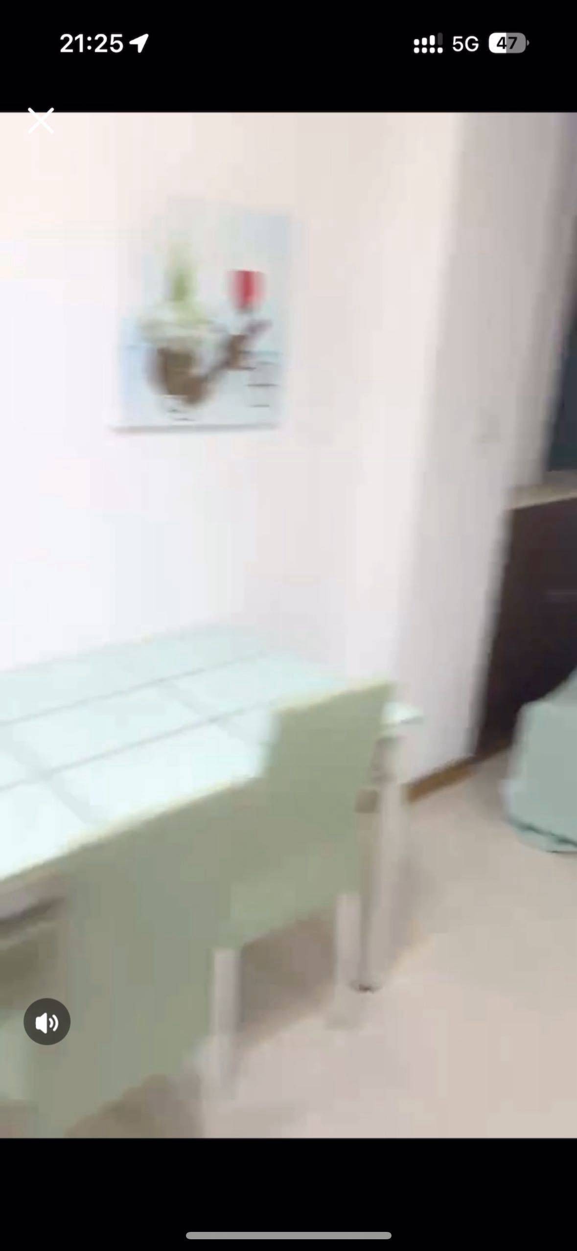 Shanghai-Pudong-🏡房东直租,💰押一付一,Pet Friendly,Cozy Home,Clean&Comfy,No Gender Limit,Chilled
