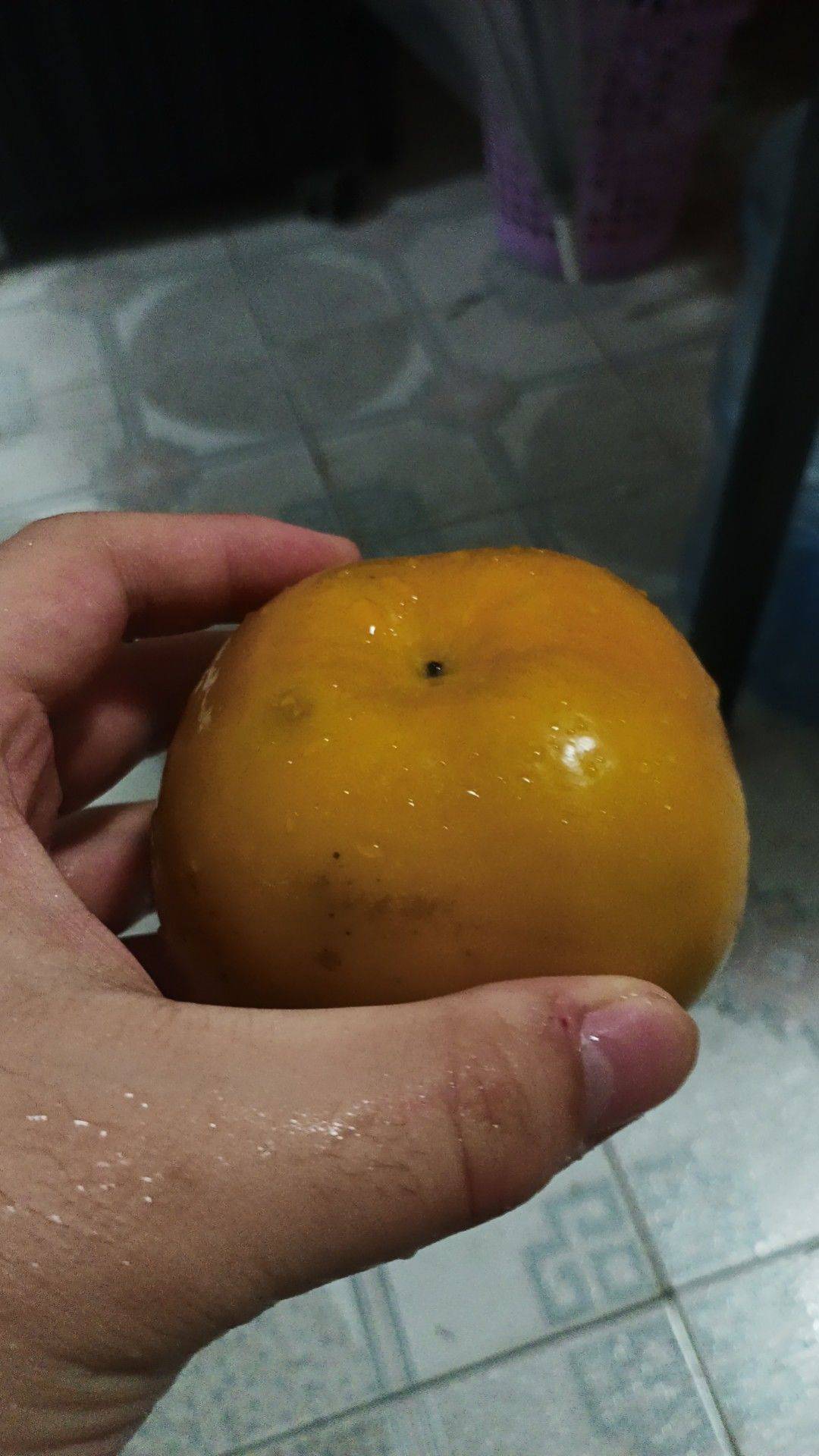 柿柿顺利