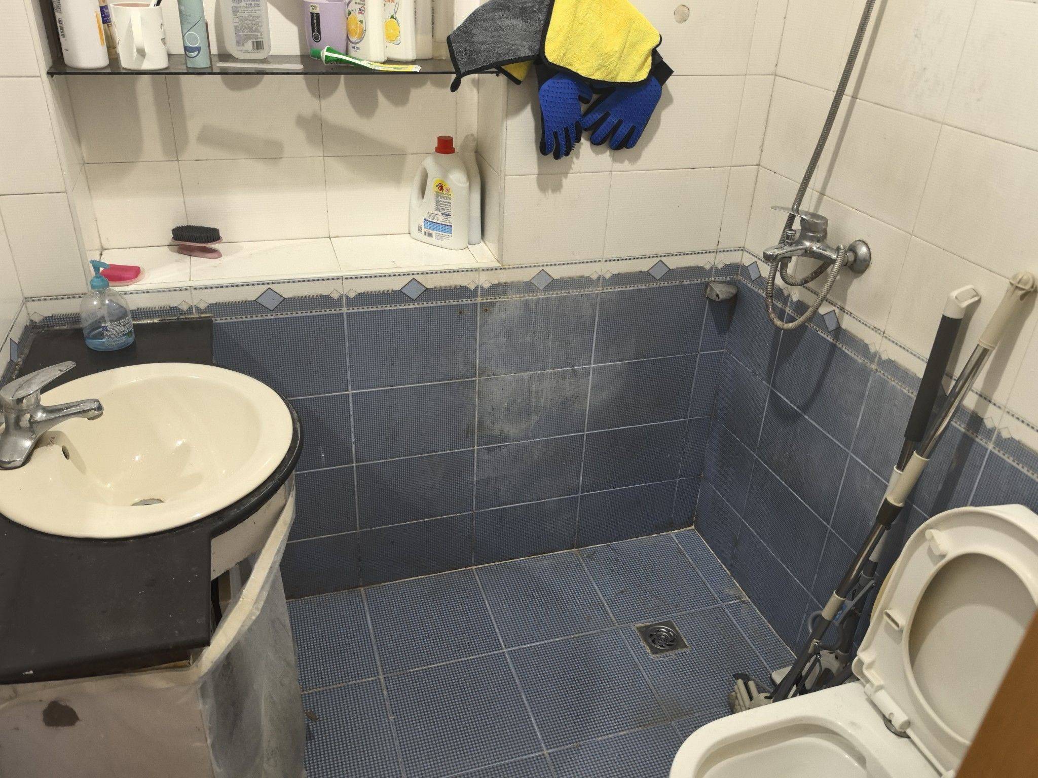 南京-鼓楼-干净治愈,市井烟火气,宠物友好