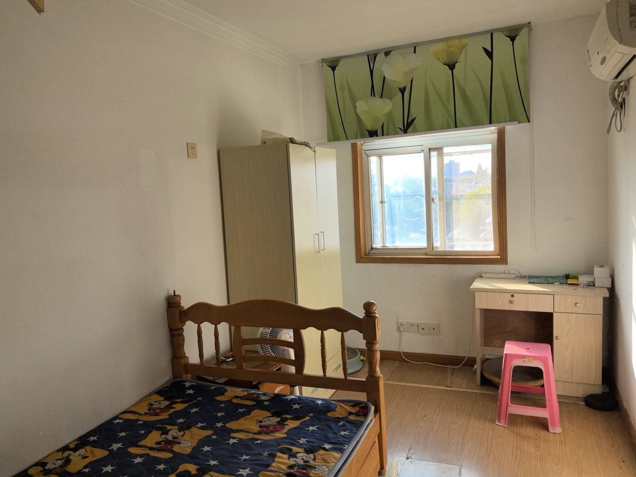 南京-鼓楼-干净治愈,市井烟火气,宠物友好