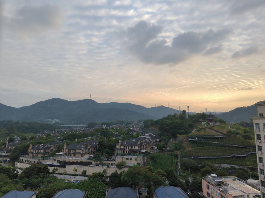 Shenzhen-Longhua-Cozy Home,Clean&Comfy,No Gender Limit,Hustle & Bustle,“Friends”,Chilled,LGBTQ Friendly,Pet Friendly