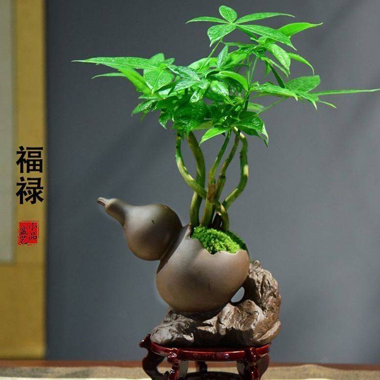 顺遂