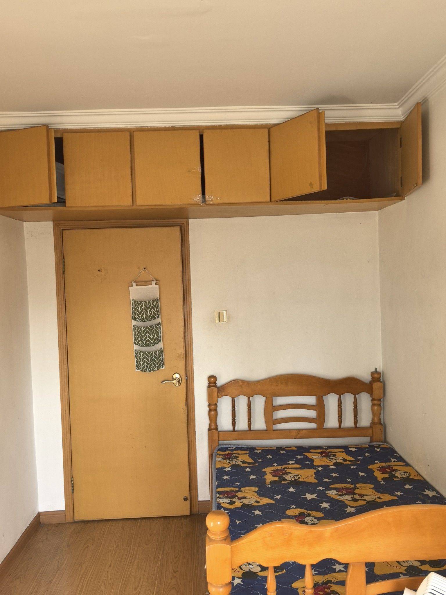 南京-鼓楼-干净治愈,市井烟火气,宠物友好