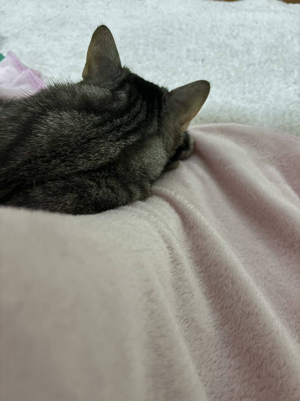 牛奶等等喝