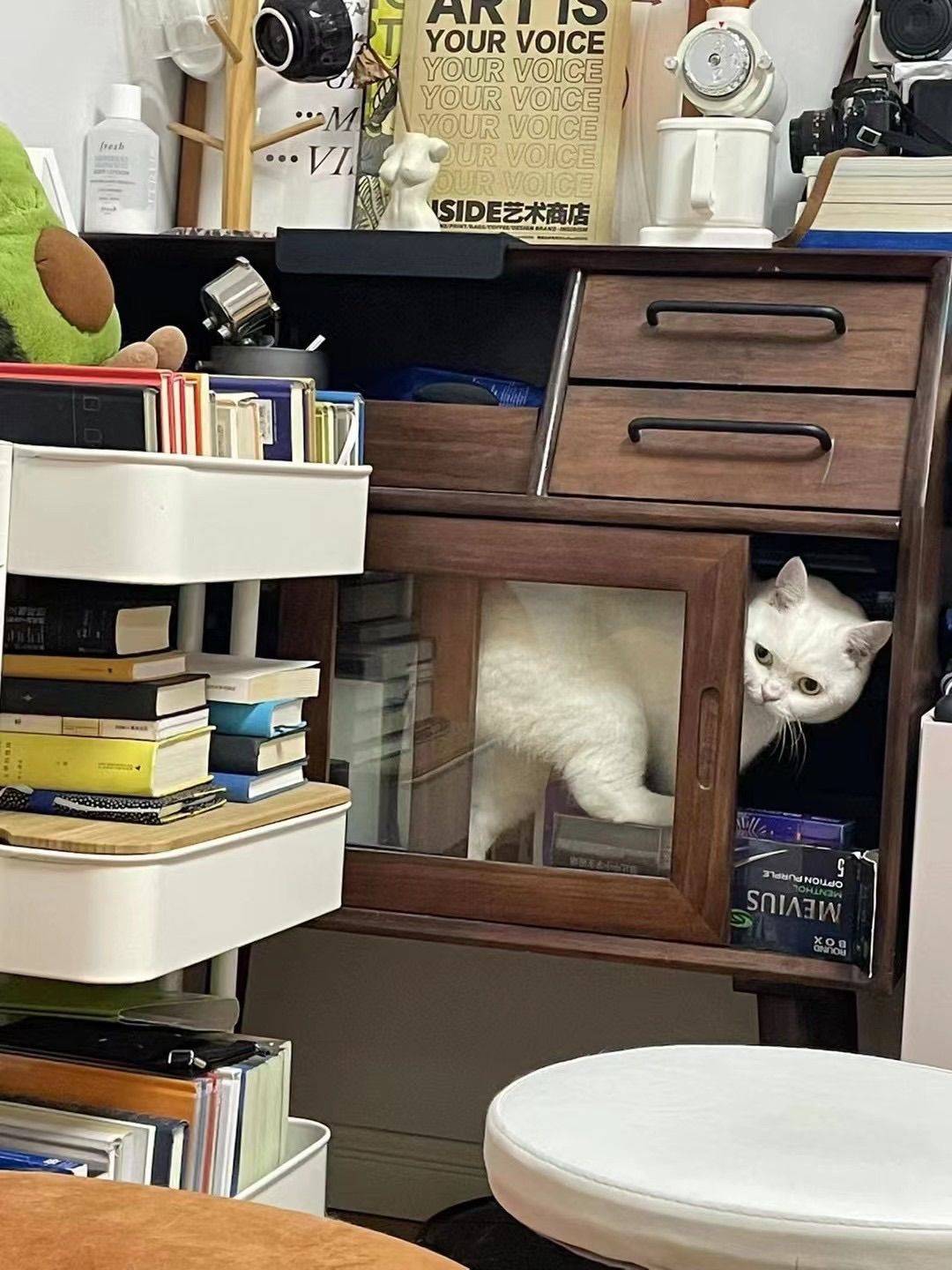 Shanghai-Xuhui-Cozy Home,Clean&Comfy,No Gender Limit,Hustle & Bustle,“Friends”,Chilled