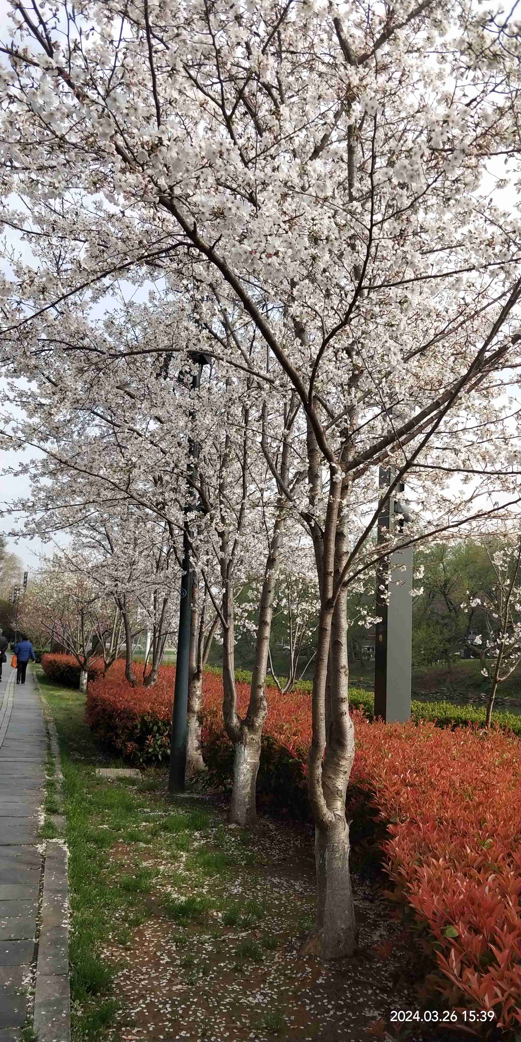 包容