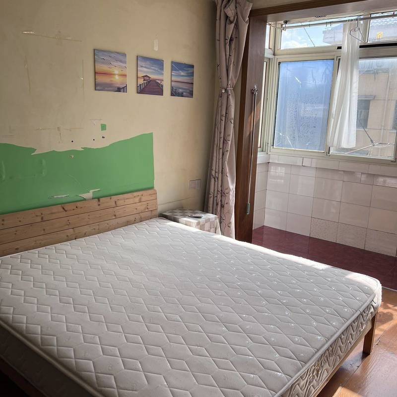 Shanghai-Pudong-Cozy Home,Clean&Comfy,No Gender Limit,Hustle & Bustle,Chilled,LGBTQ Friendly,Pet Friendly