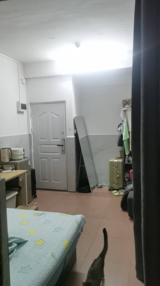 深圳-寶安-溫馨小窩,乾淨治愈