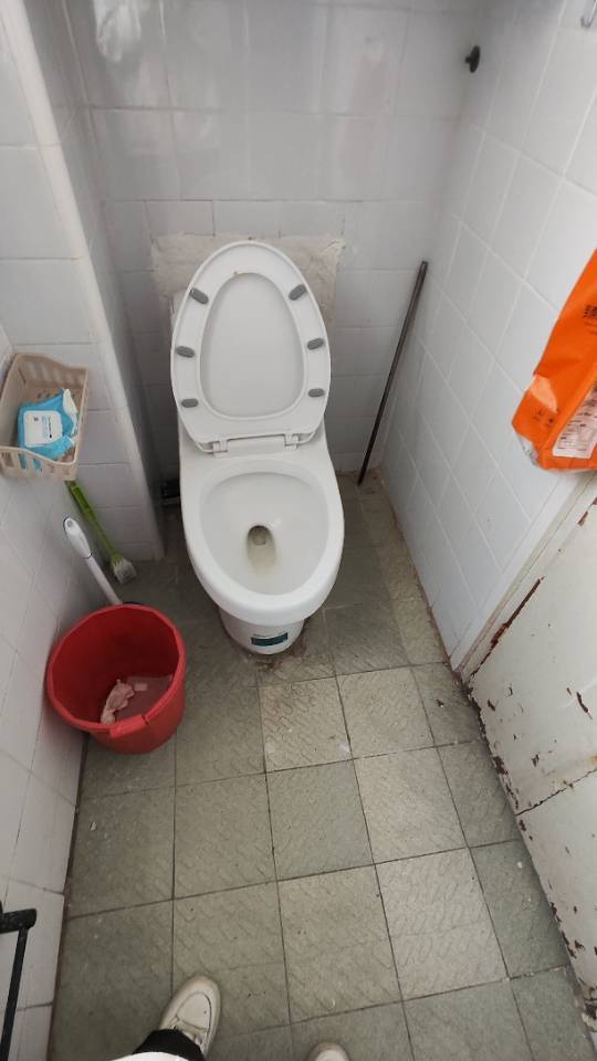 上海 崇明 | 向阳路_5