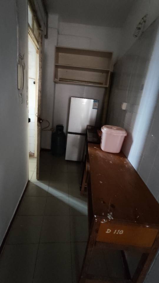 上海 崇明 | 向阳路_6