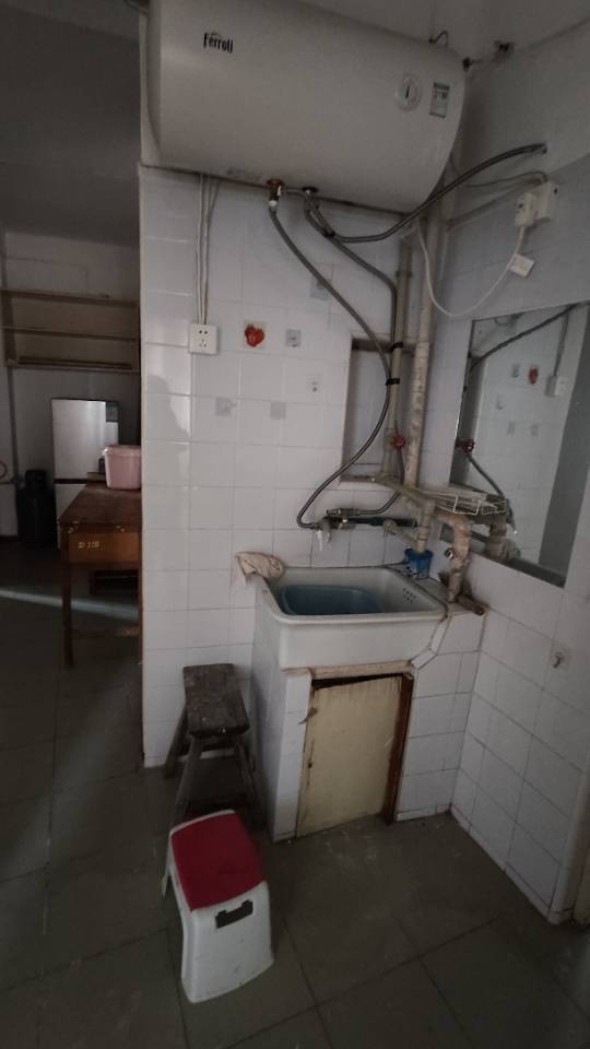 上海 崇明 | 向阳路_8