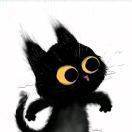 波波猫